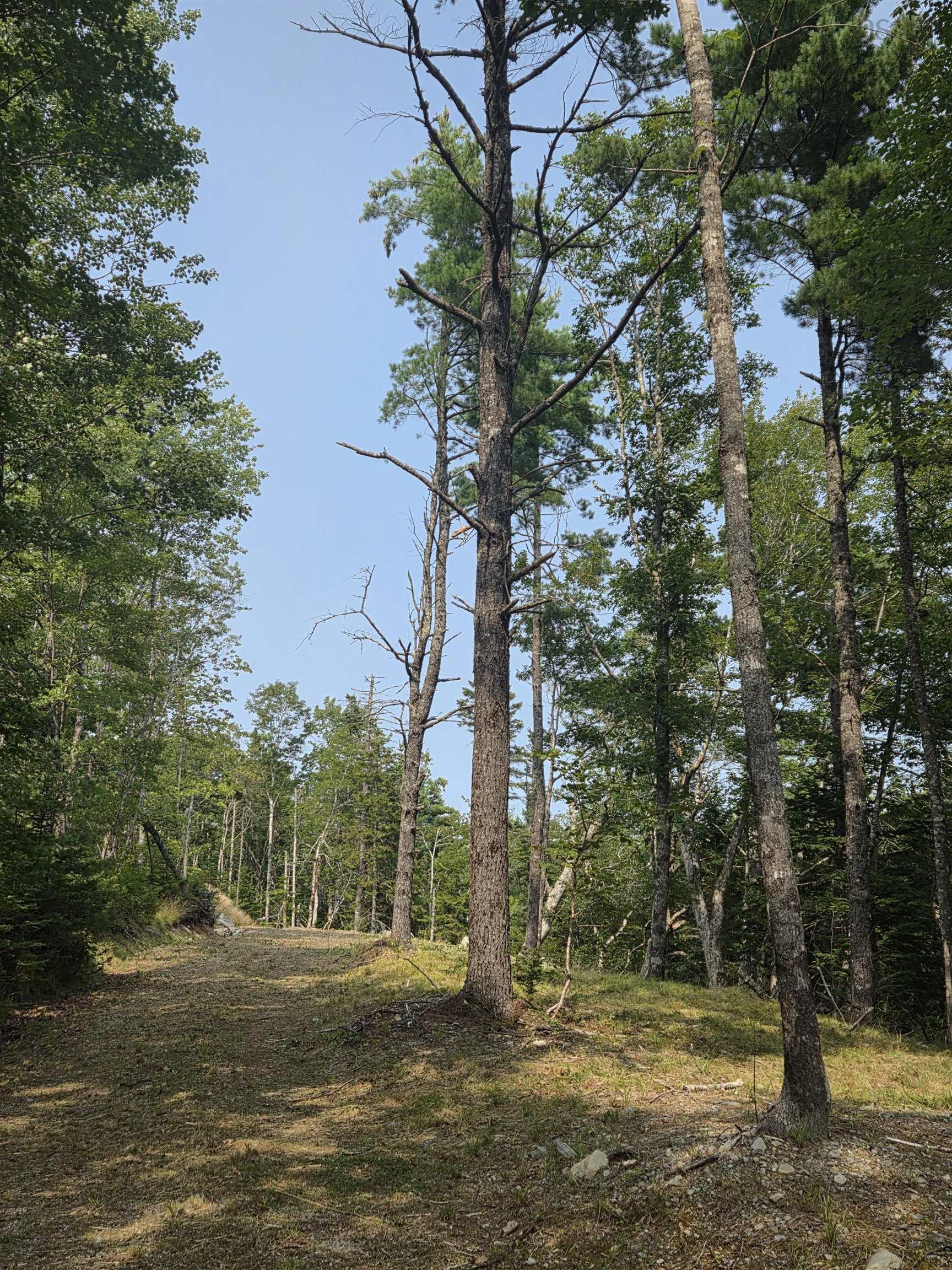 $69,000.00: Highway 103, Sable River