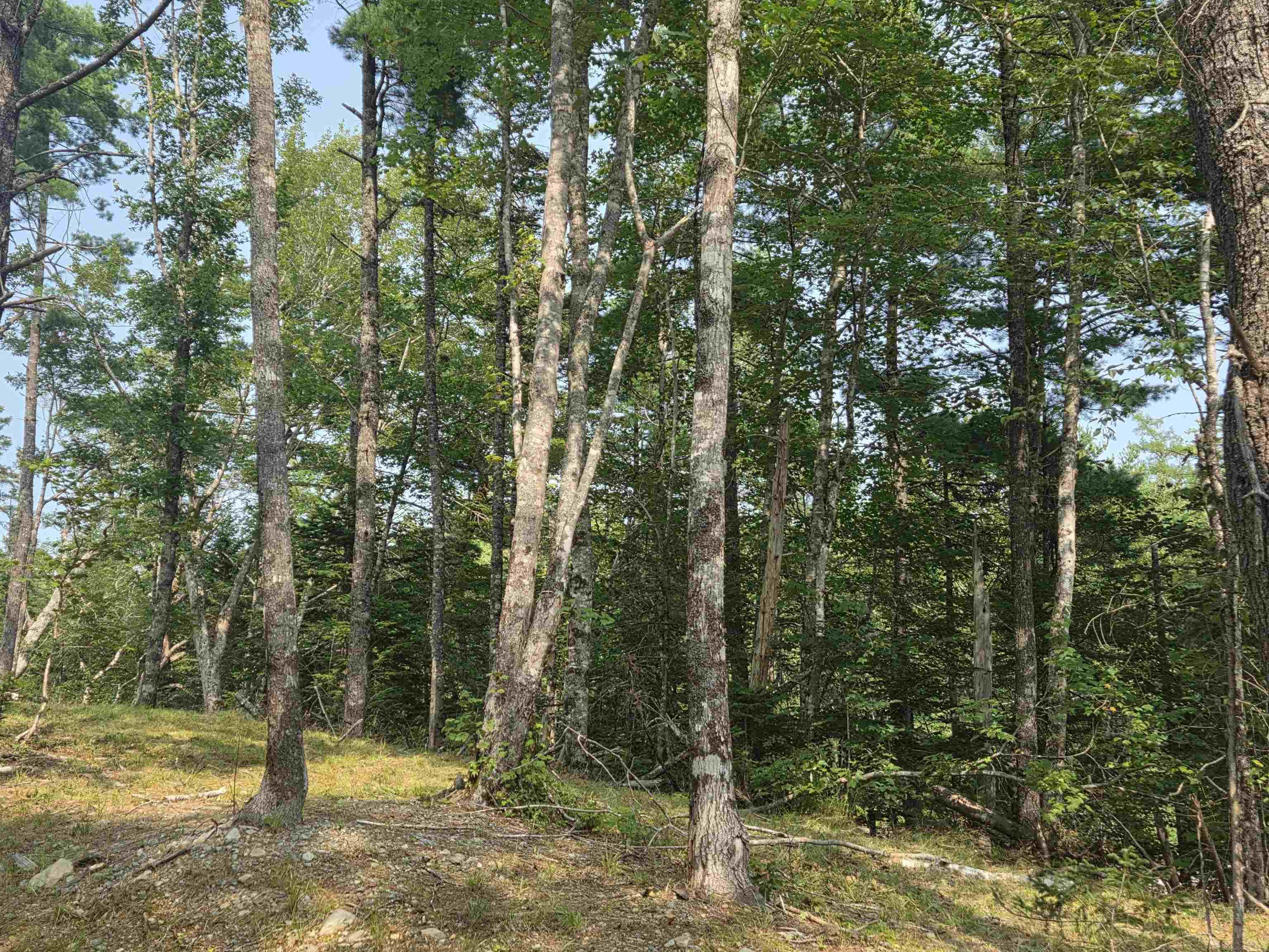 $69,000.00: Highway 103, Sable River