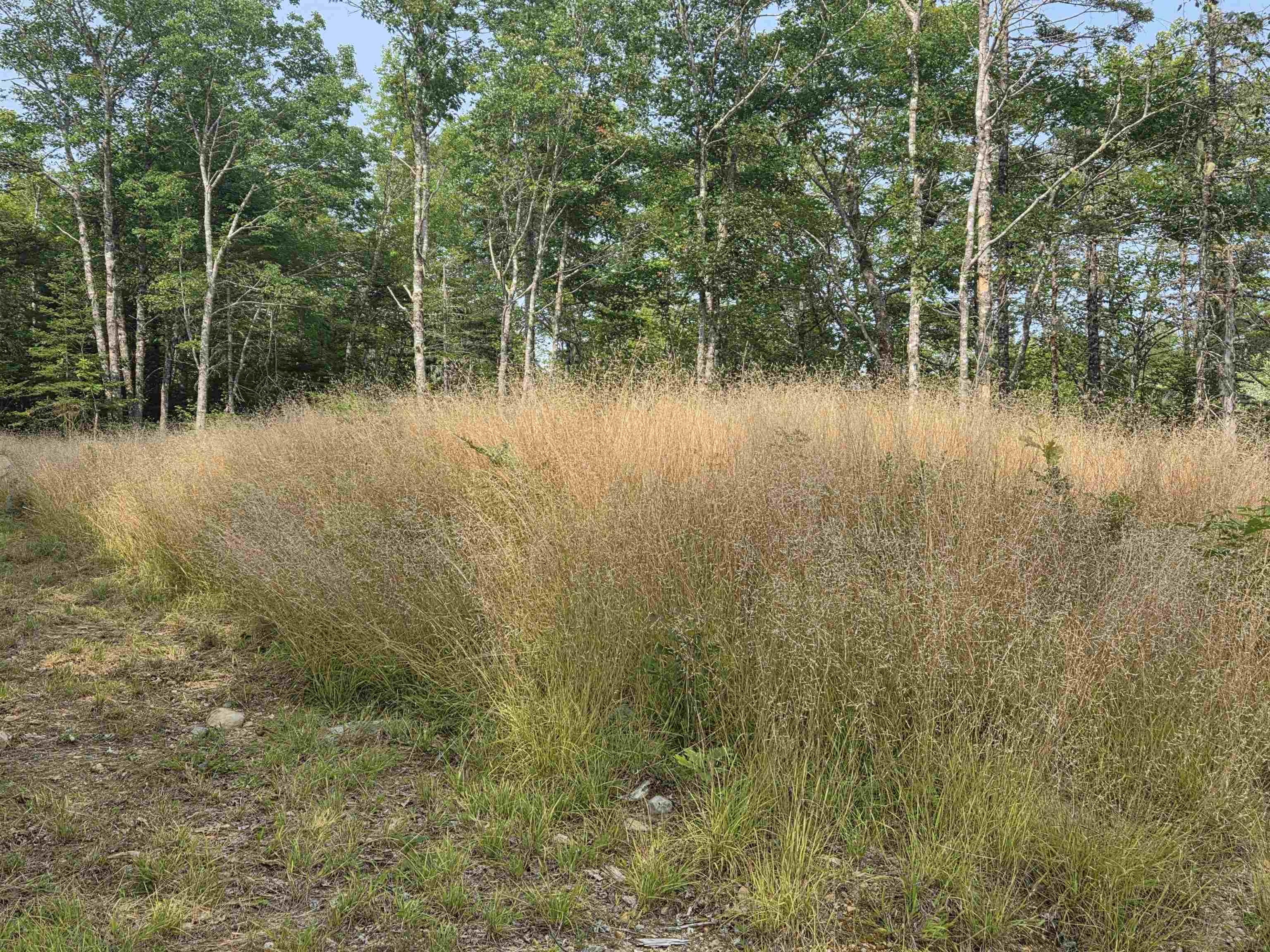 $69,000.00: Highway 103, Sable River