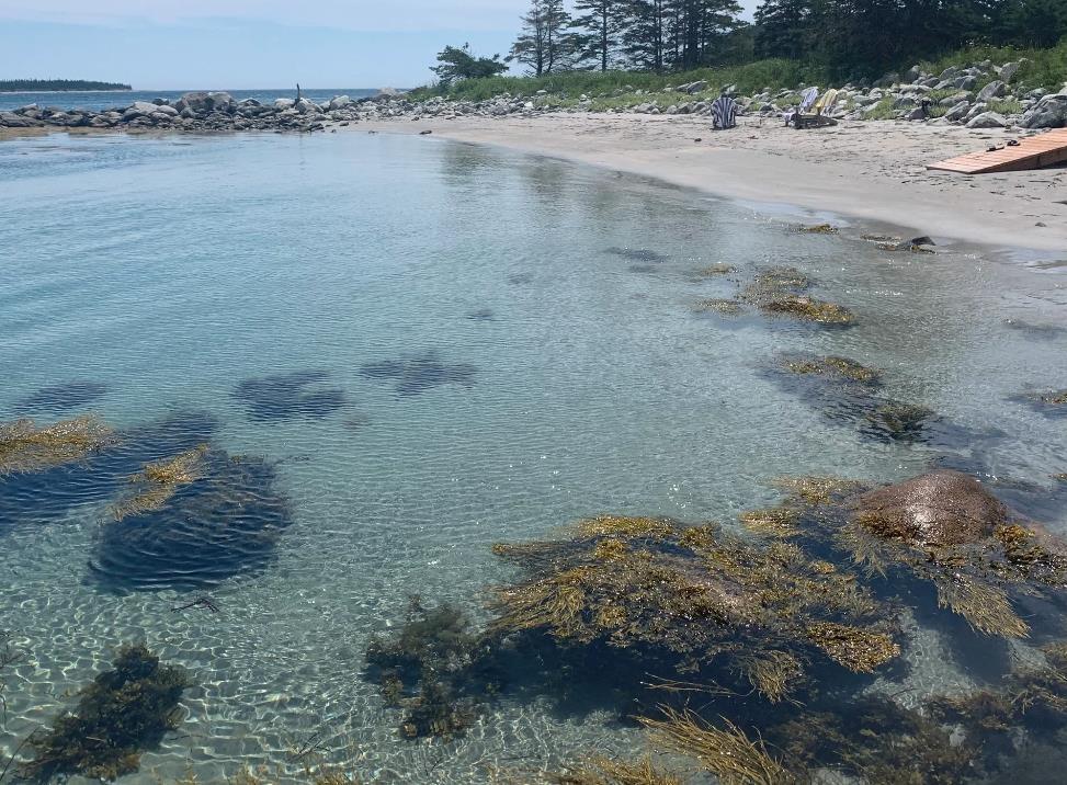 $899,000.00: 60 River Road, Port L