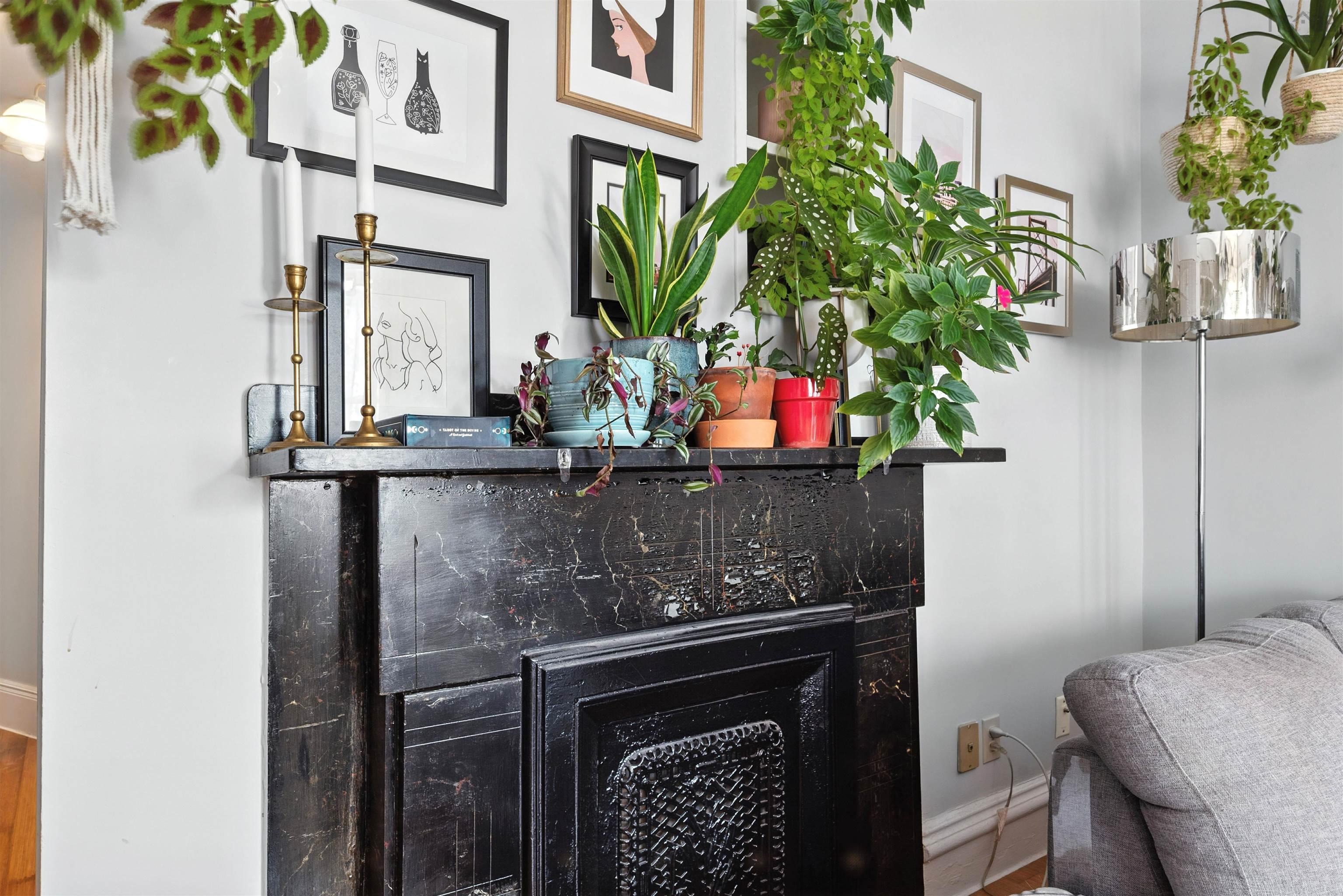 5651 Macara Street, Halifax, NS (MLS 202520297)