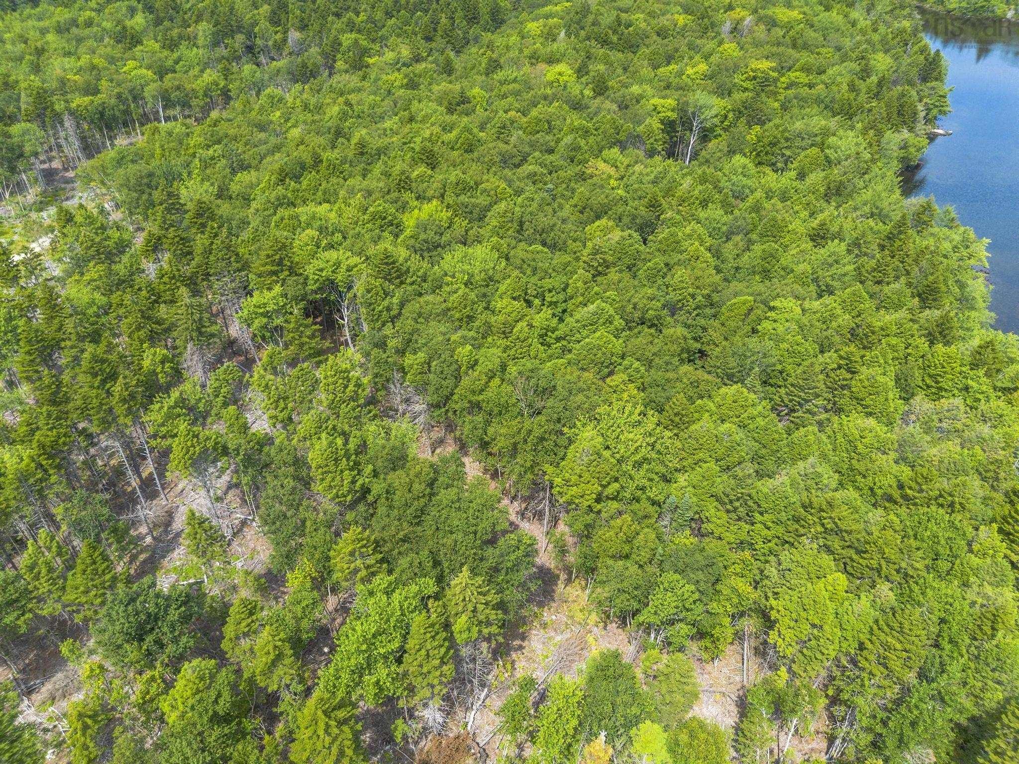 $49,900.00: Lot 1 Bull Lake Road, Margo