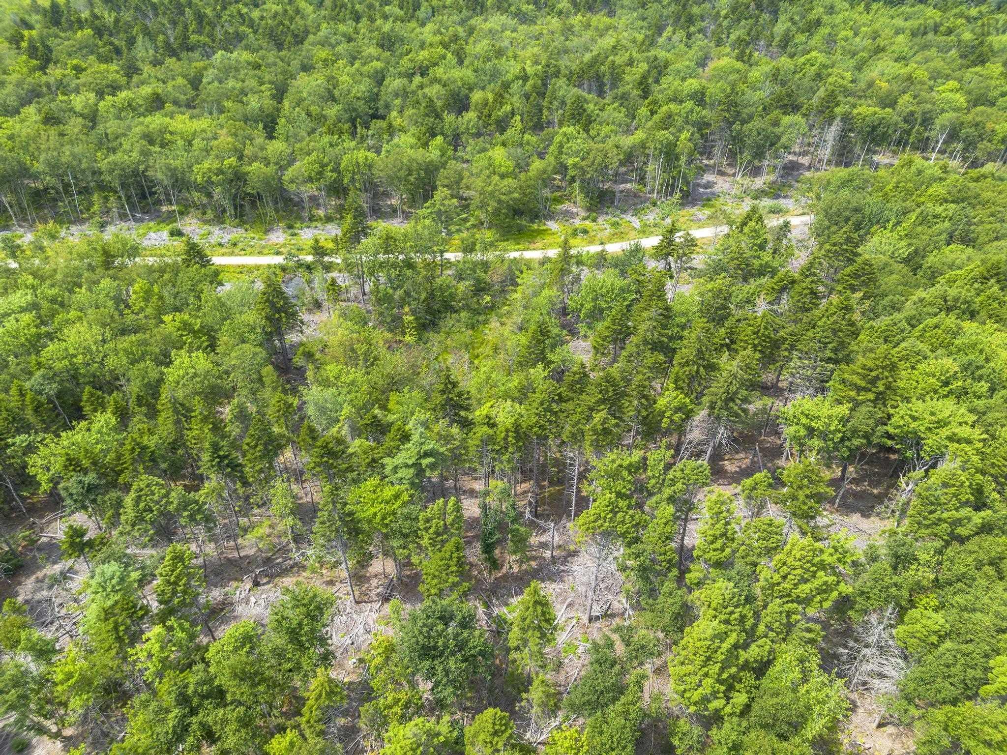 $49,900.00: Lot 1 Bull Lake Road, Margo