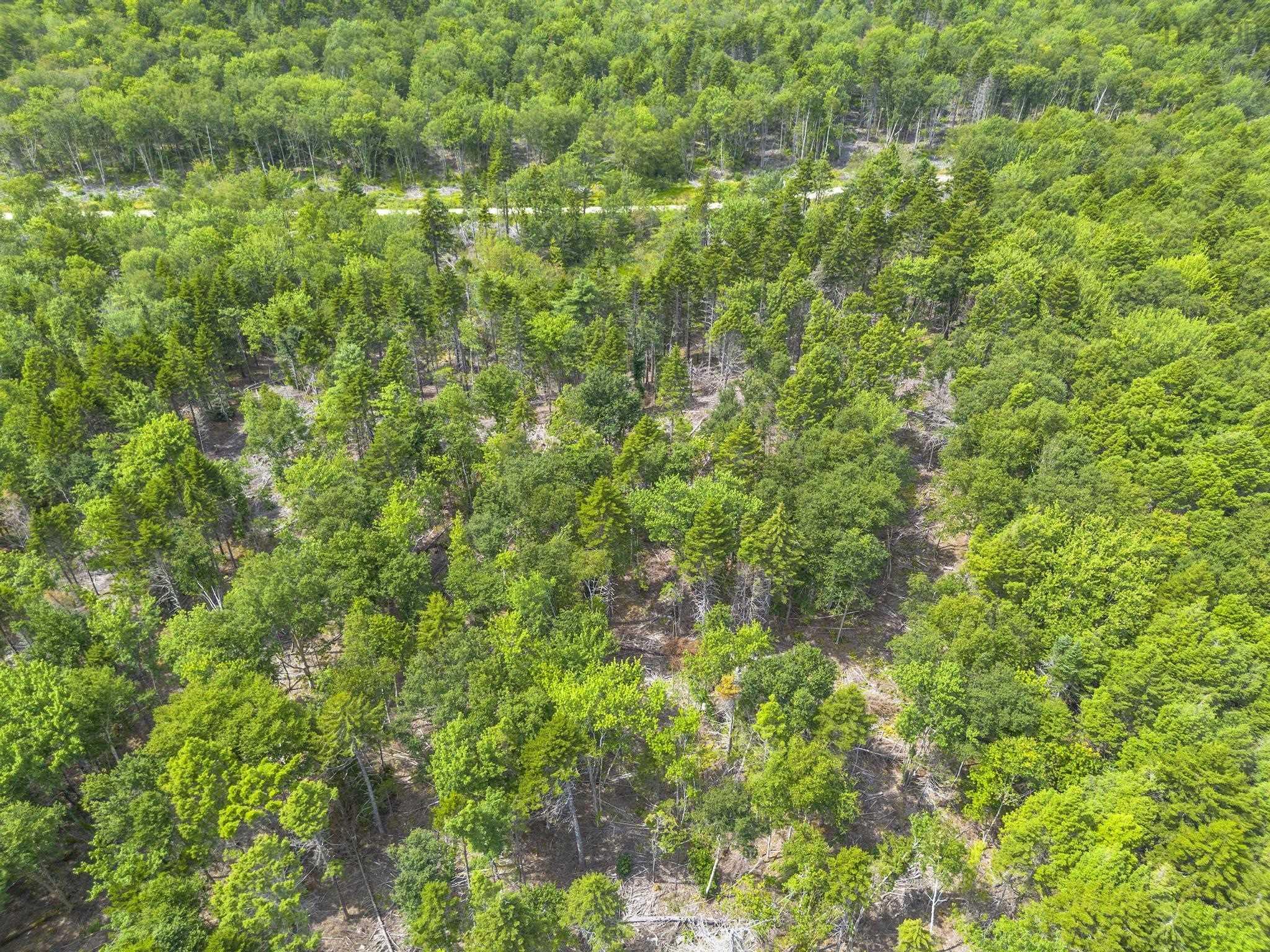 $49,900.00: Lot 1 Bull Lake Road, Margo