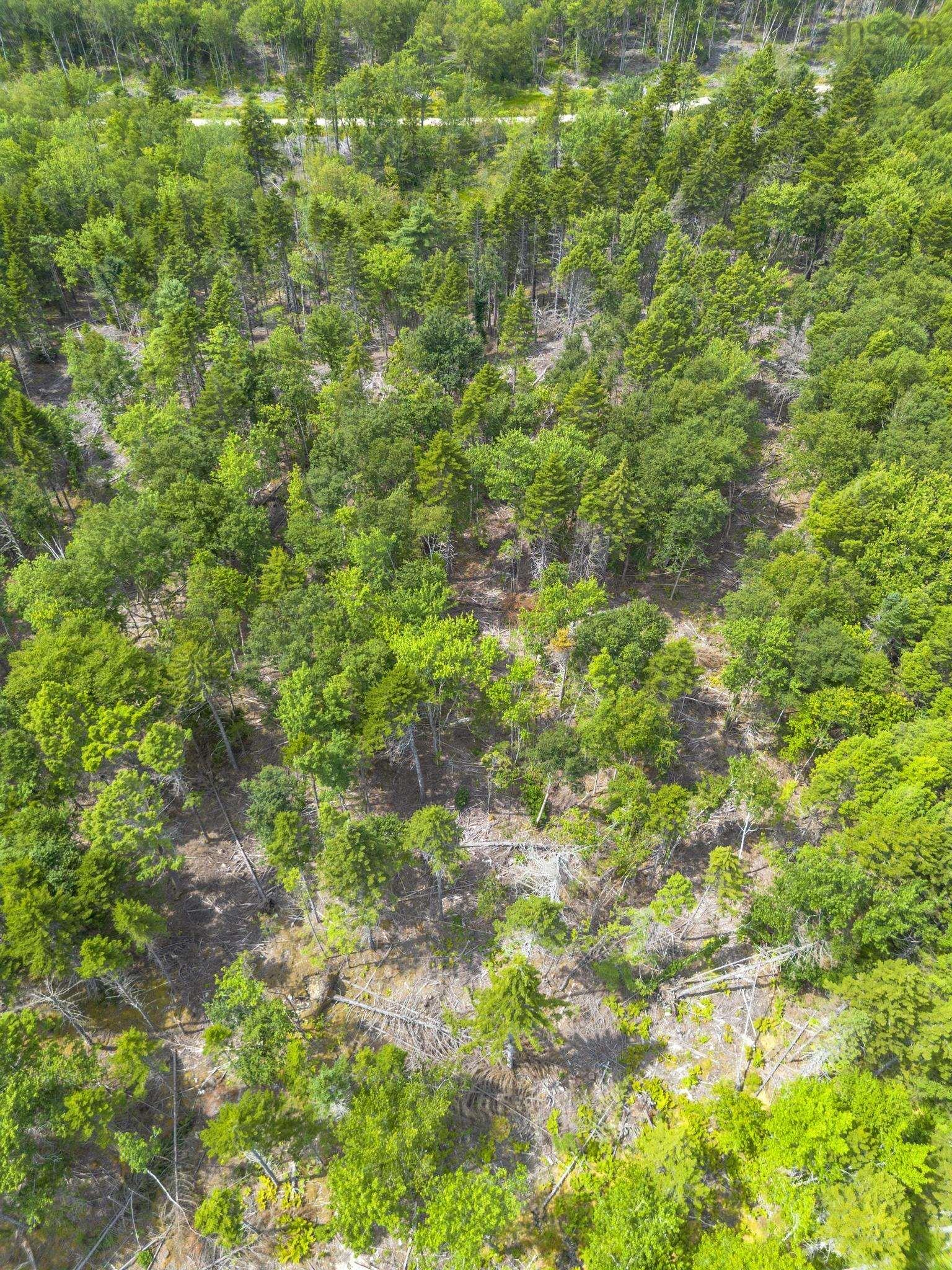 $49,900.00: Lot 1 Bull Lake Road, Margo