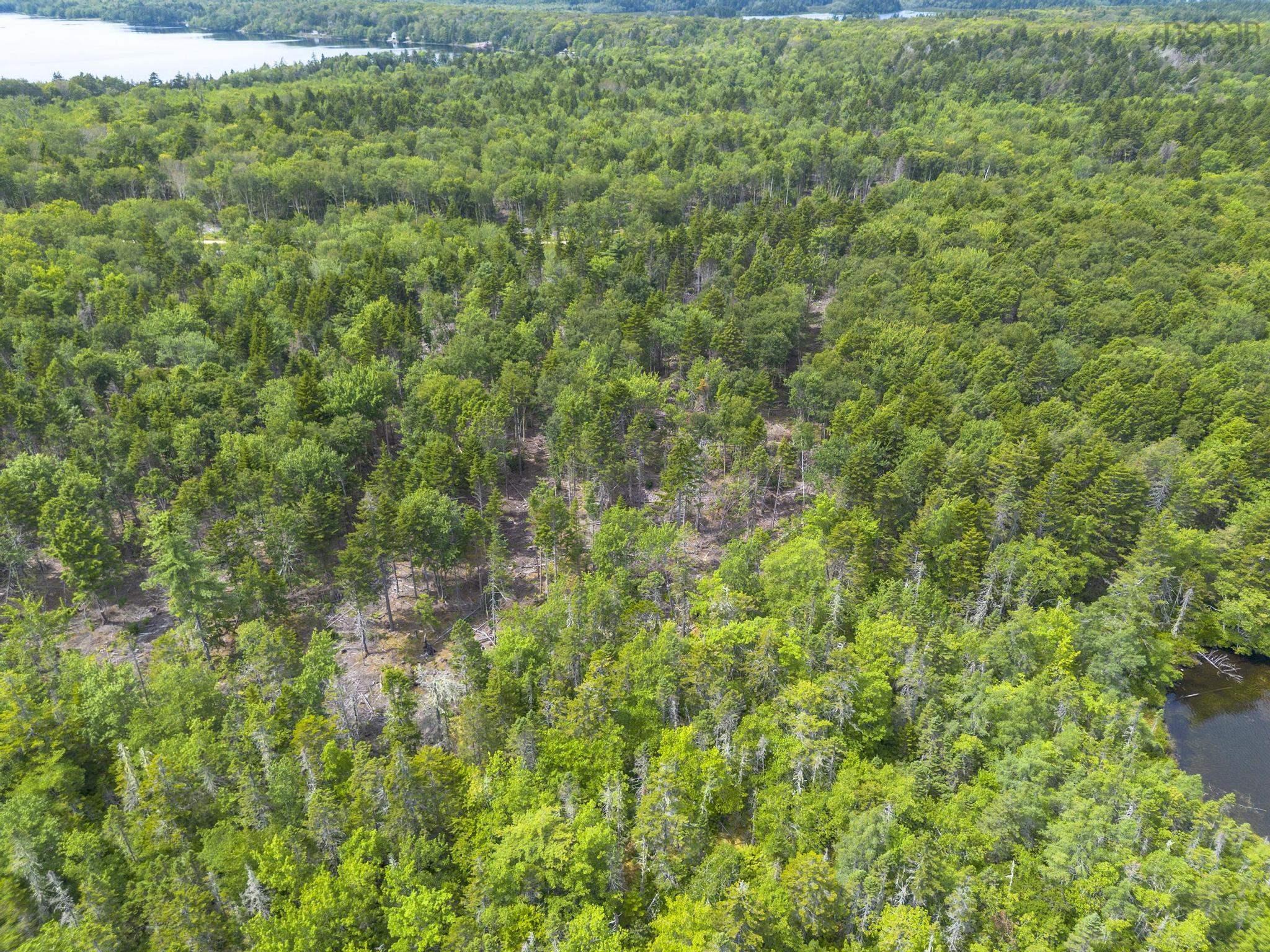 $49,900.00: Lot 1 Bull Lake Road, Margo