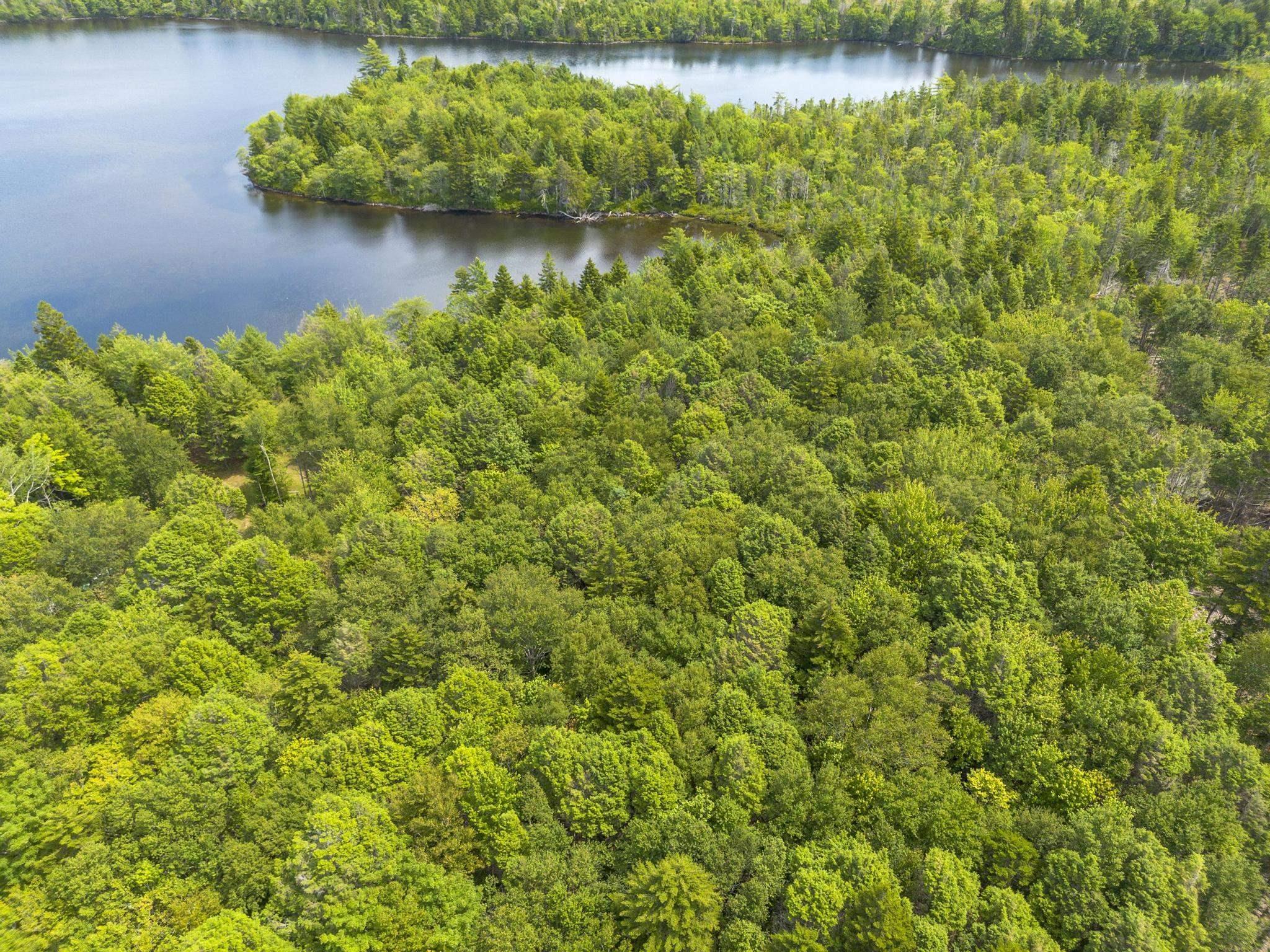 $49,900.00: Lot 1 Bull Lake Road, Margo