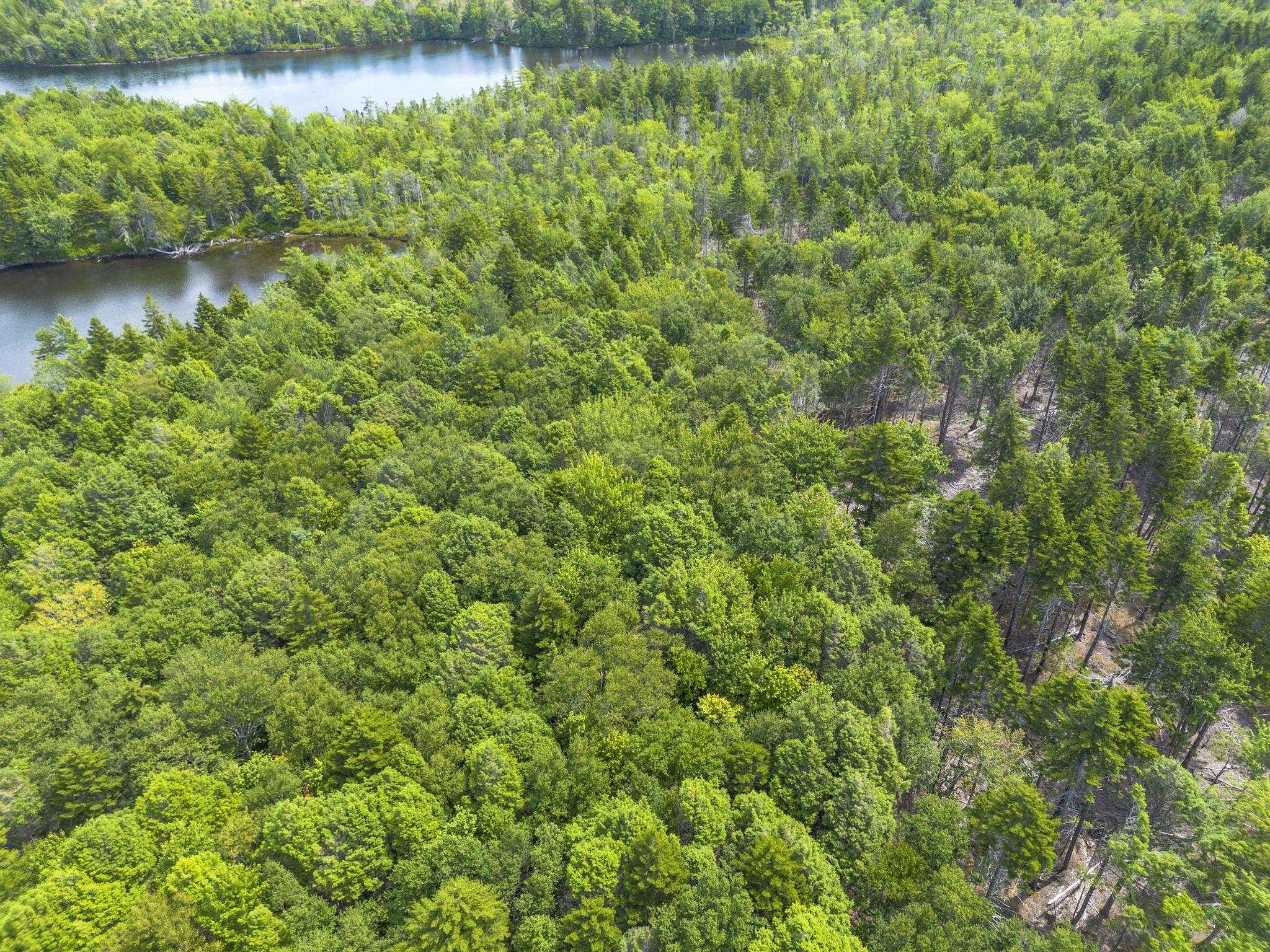 $49,900.00: Lot 1 Bull Lake Road, Margo