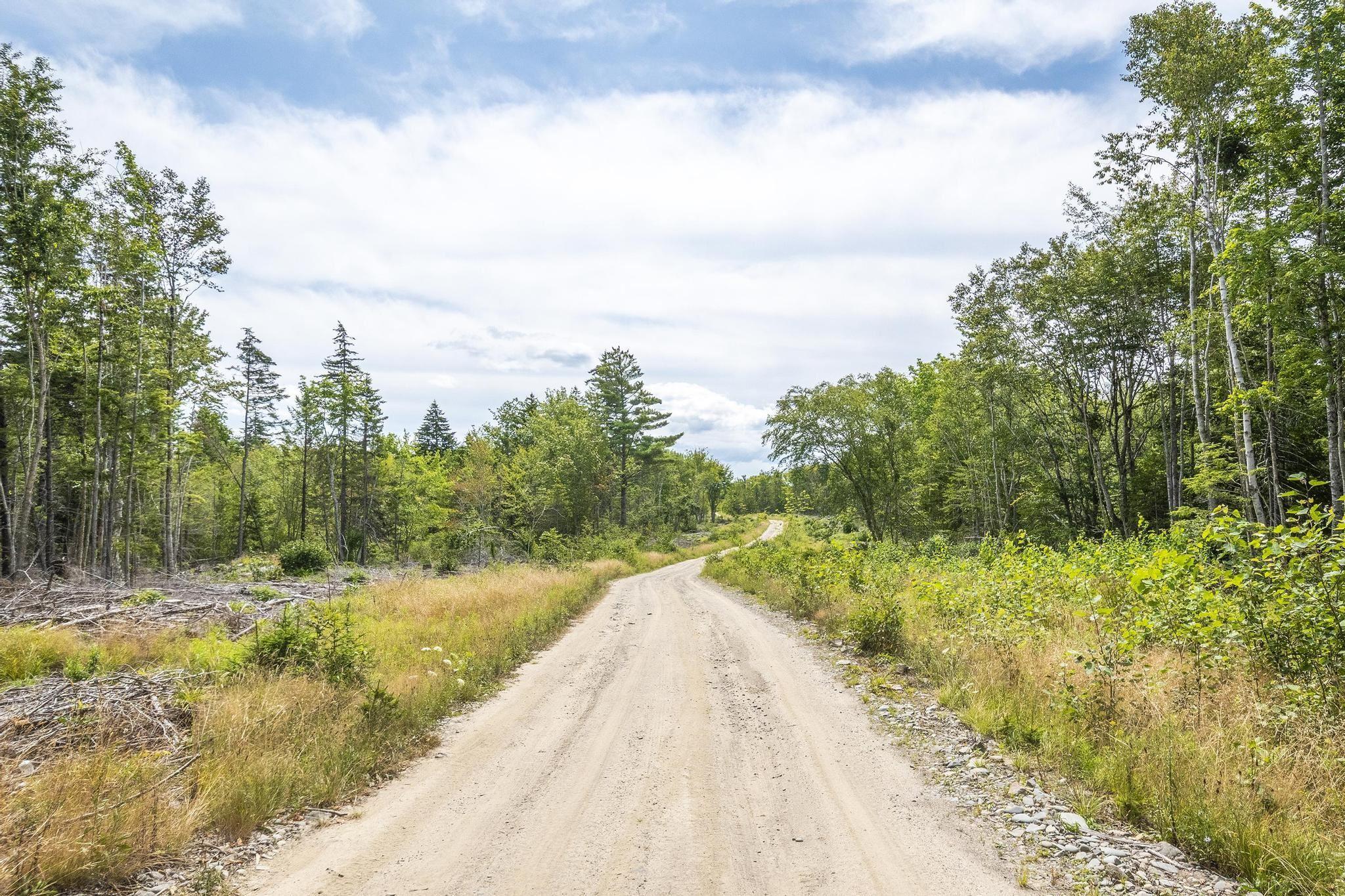 $49,900.00: Lot 1 Bull Lake Road, Margo