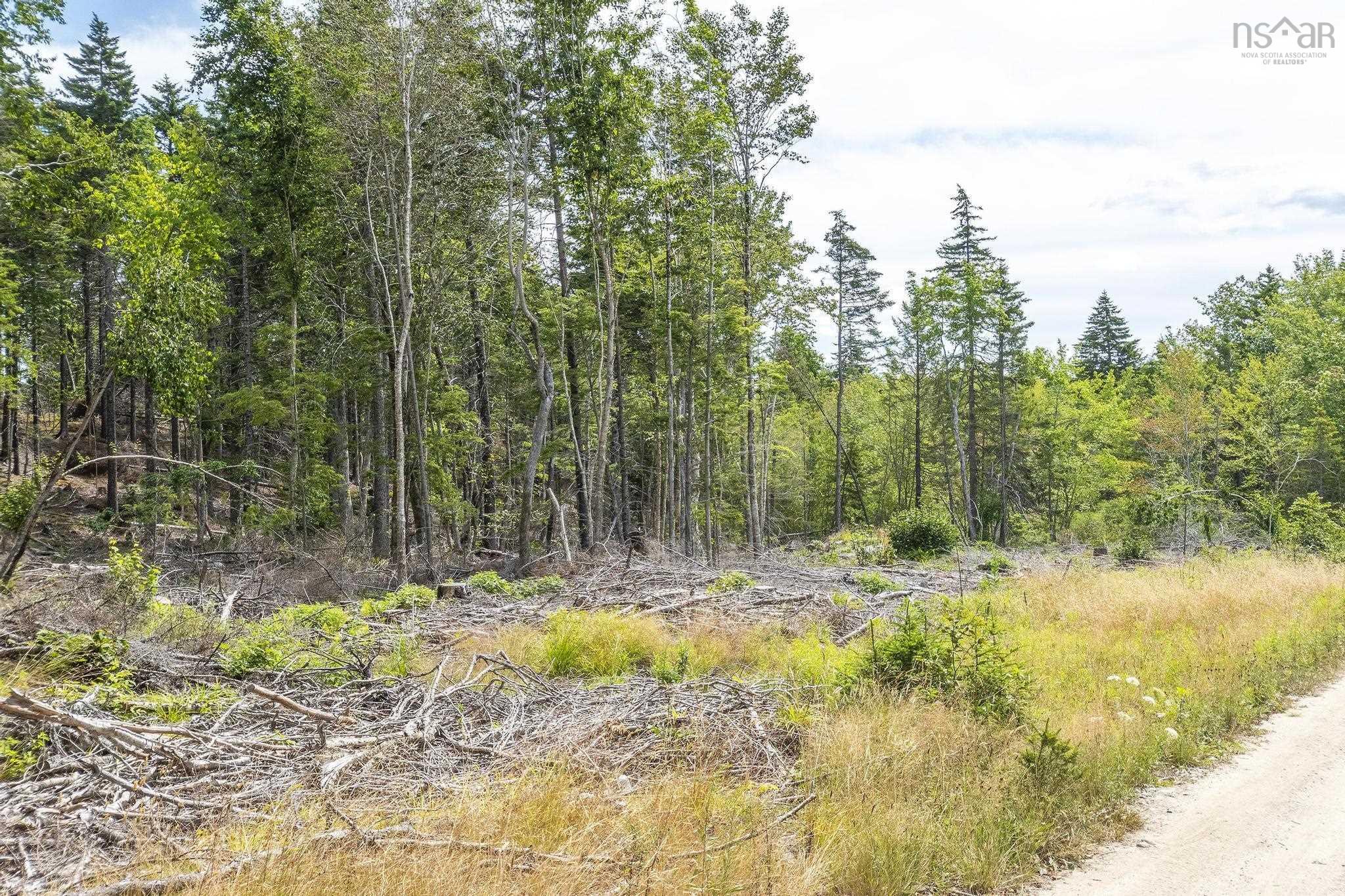 $49,900.00: Lot 1 Bull Lake Road, Margo