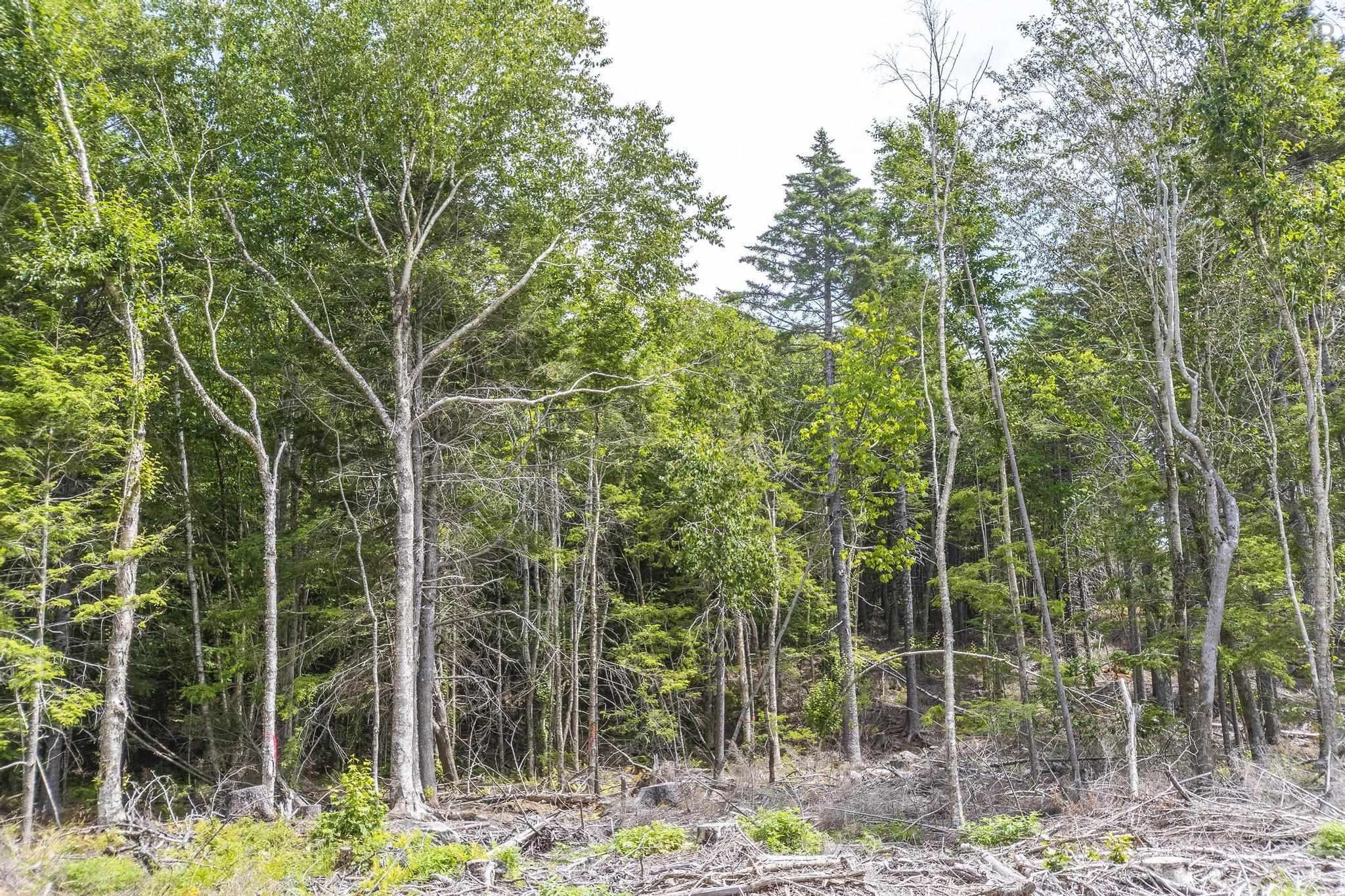 $49,900.00: Lot 1 Bull Lake Road, Margo