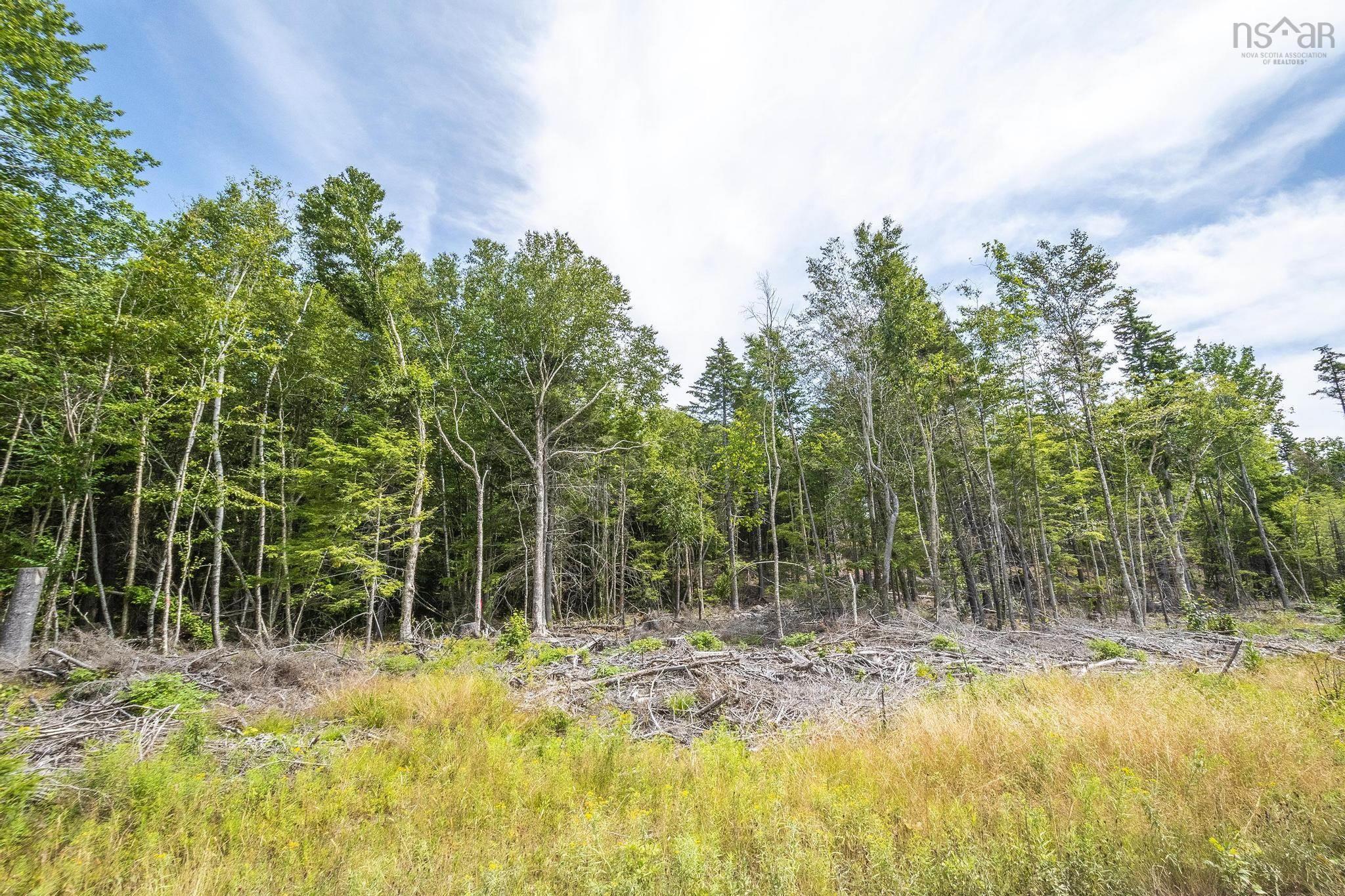 $49,900.00: Lot 1 Bull Lake Road, Margo