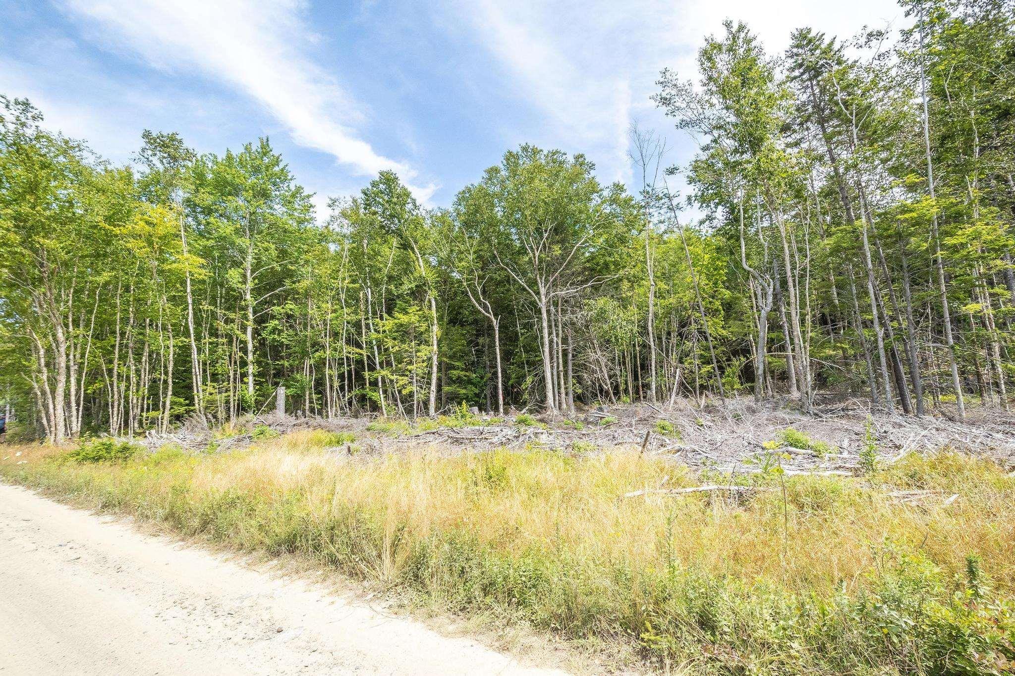 $49,900.00: Lot 1 Bull Lake Road, Margo