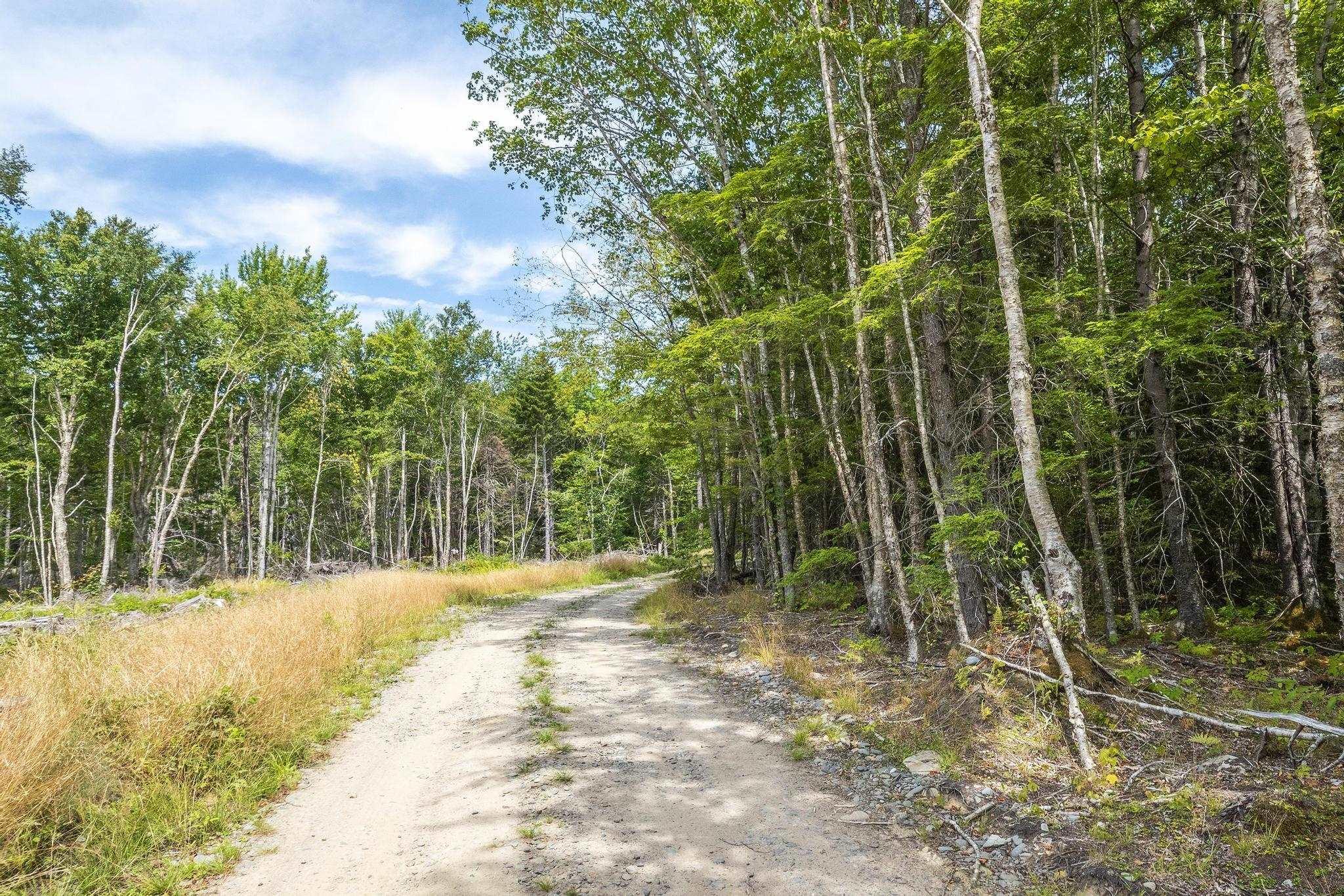 $49,900.00: Lot 1 Bull Lake Road, Margo