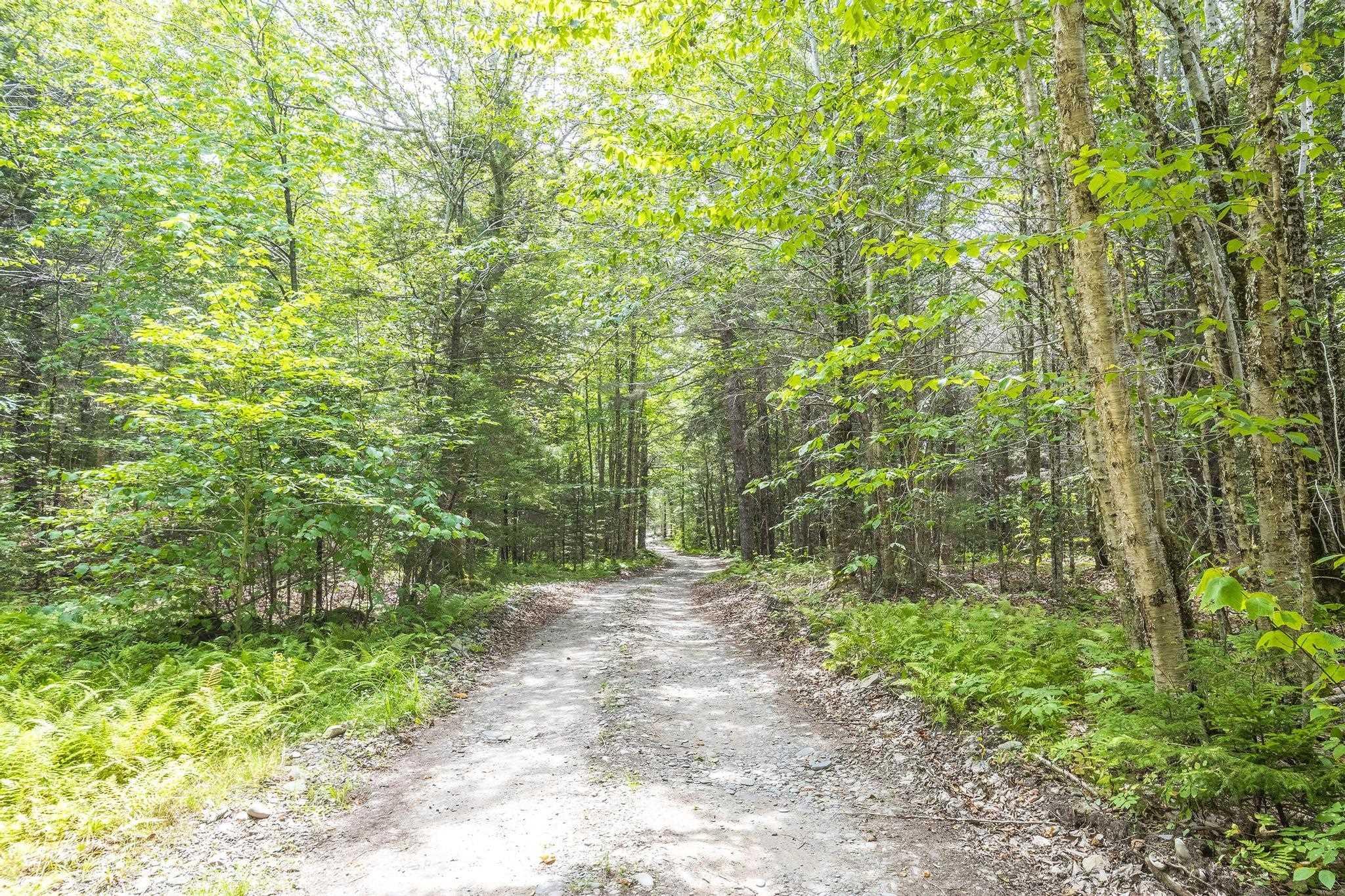 $49,900.00: Lot 1 Bull Lake Road, Margo