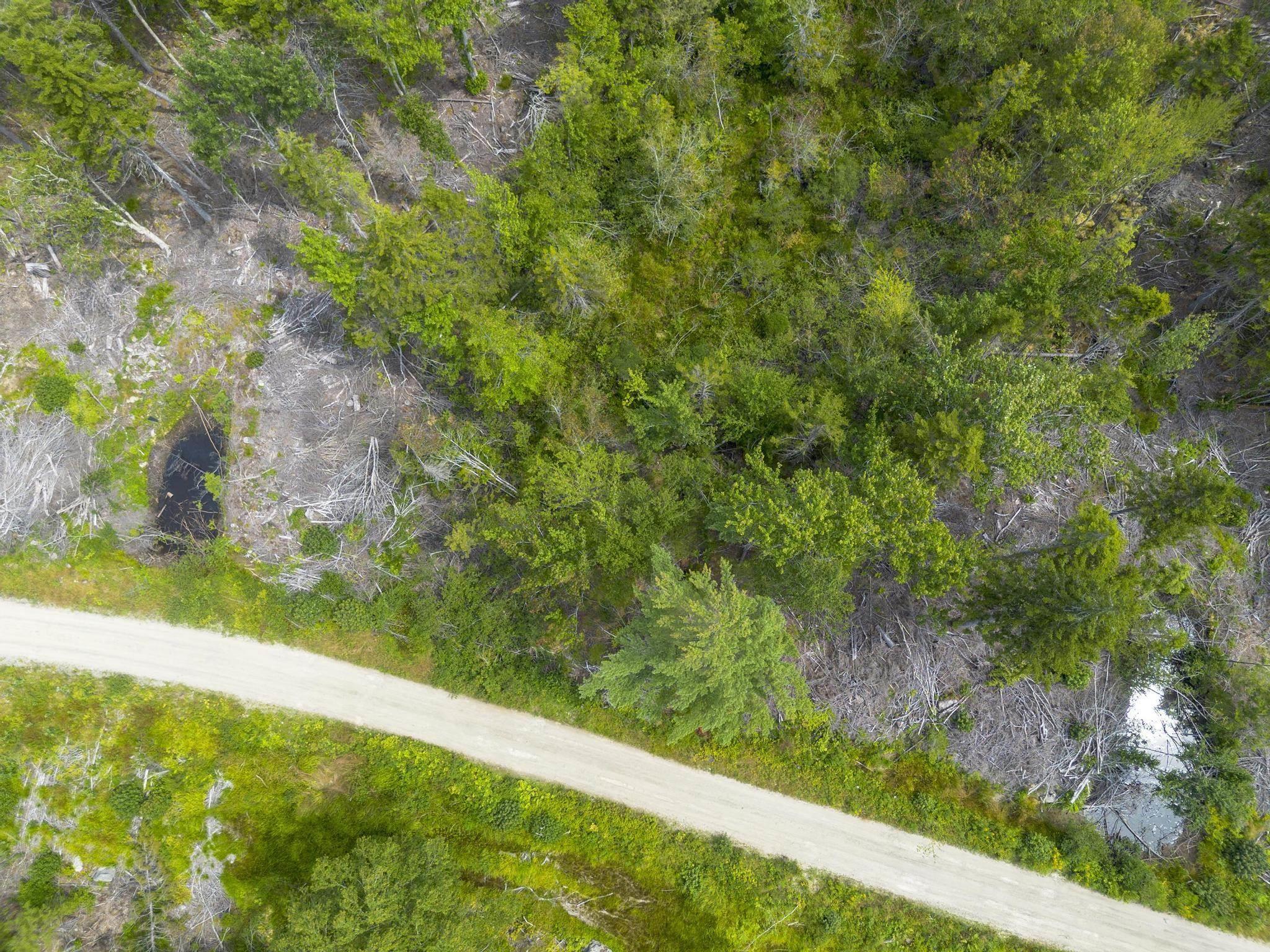 $49,900.00: Lot 1 Bull Lake Road, Margo