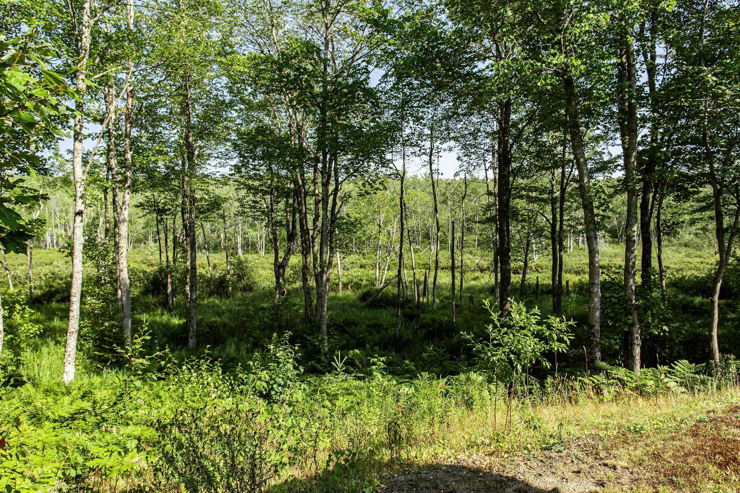 $385,000.00: 5052 Clementsvale Road, Princedale