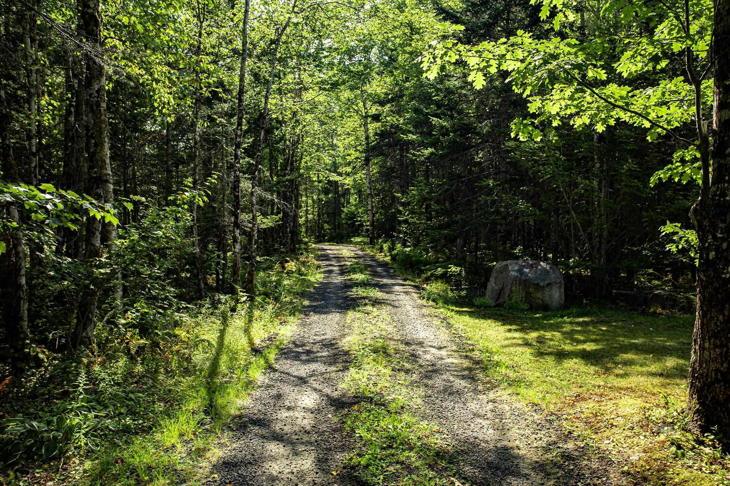 $385,000.00: 5052 Clementsvale Road, Princedale