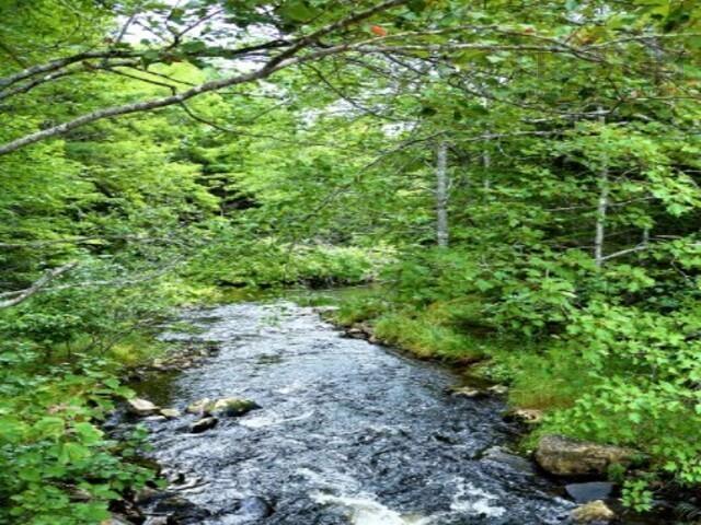 $80,000.00: unit 59 Meek Arm Trail, East Uniacke