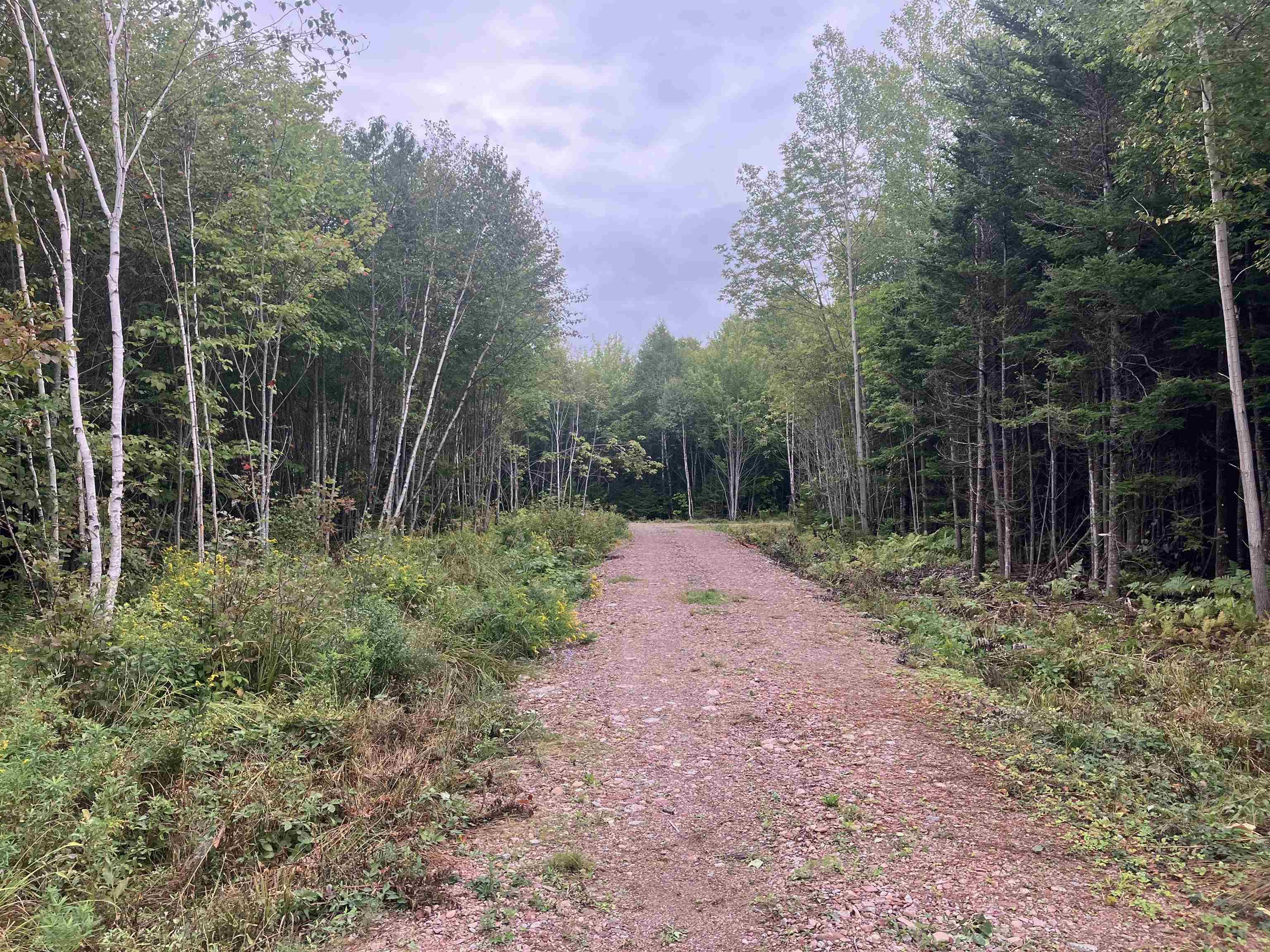 $59,000.00: Lot 2020-5 Highway 223, Little Narrows