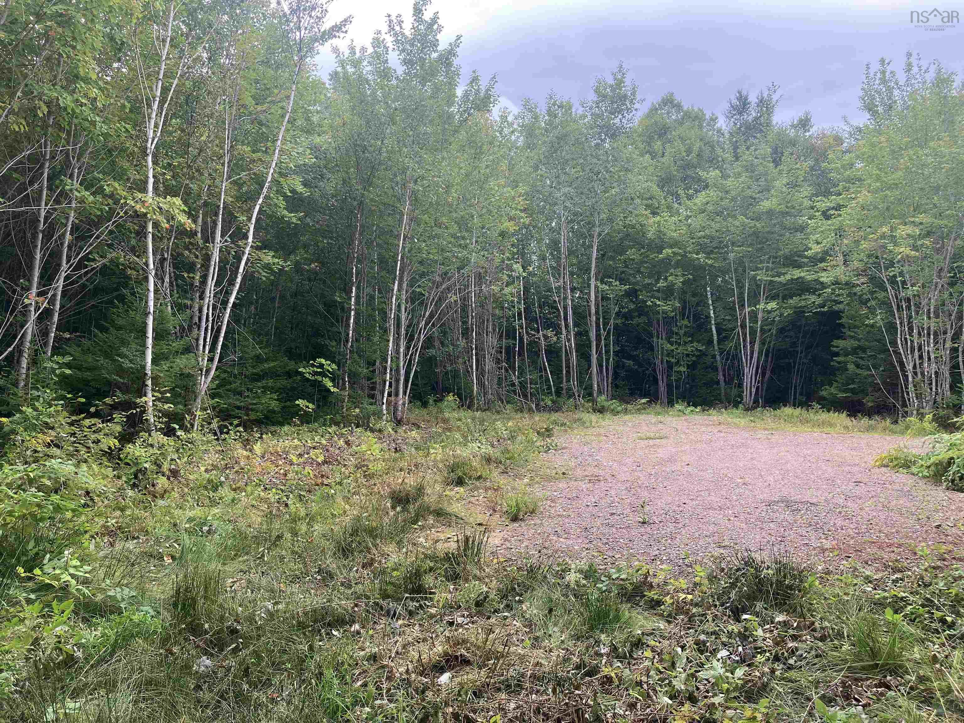 $59,000.00: Lot 2020-5 Highway 223, Little Narrows