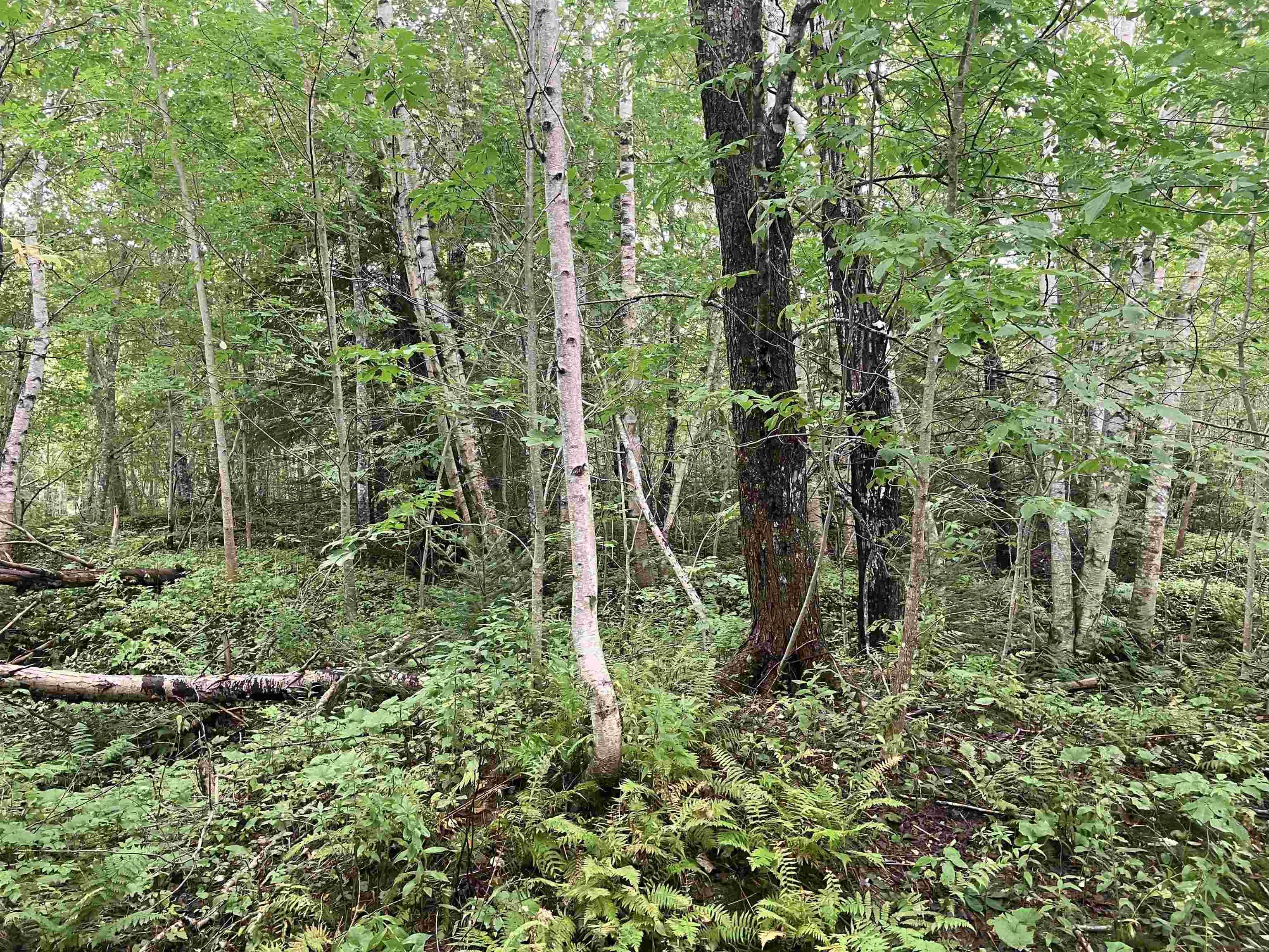 $59,000.00: Lot 2020-5 Highway 223, Little Narrows
