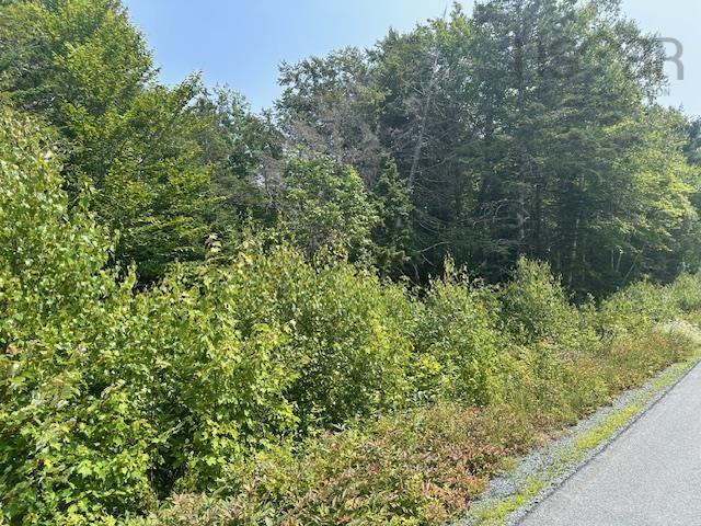 $12,000.00: Lot Beech Hill Road, Beech Hill Farms