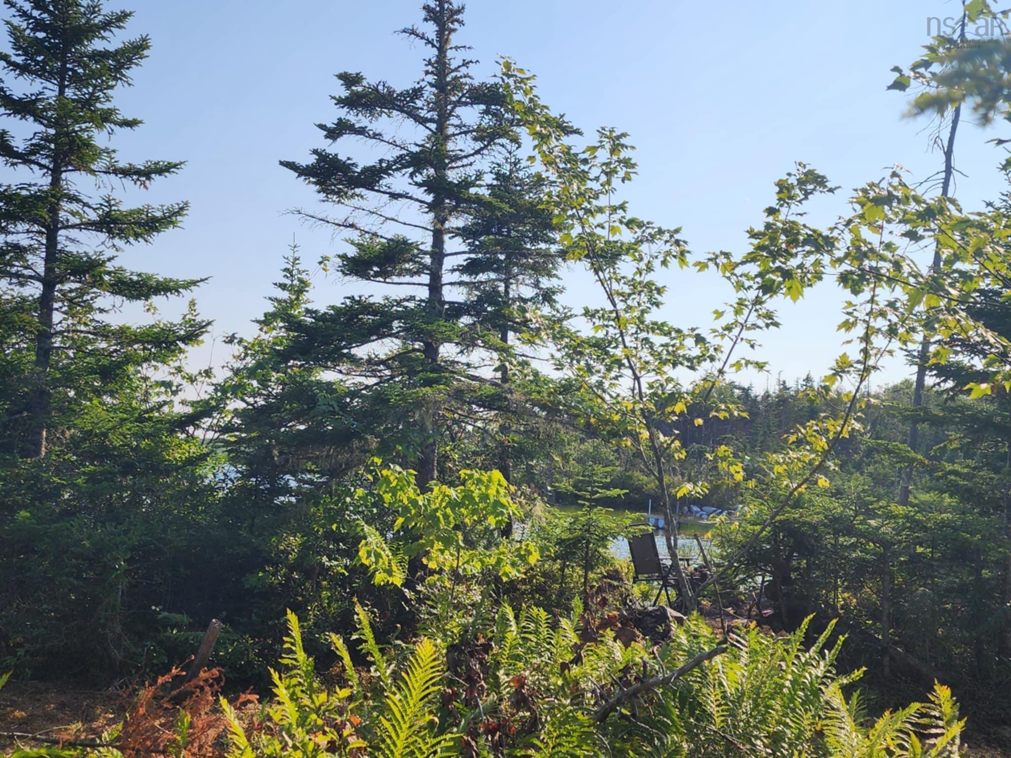 $130,000.00: 1056 Mines Road, West Petpeswick