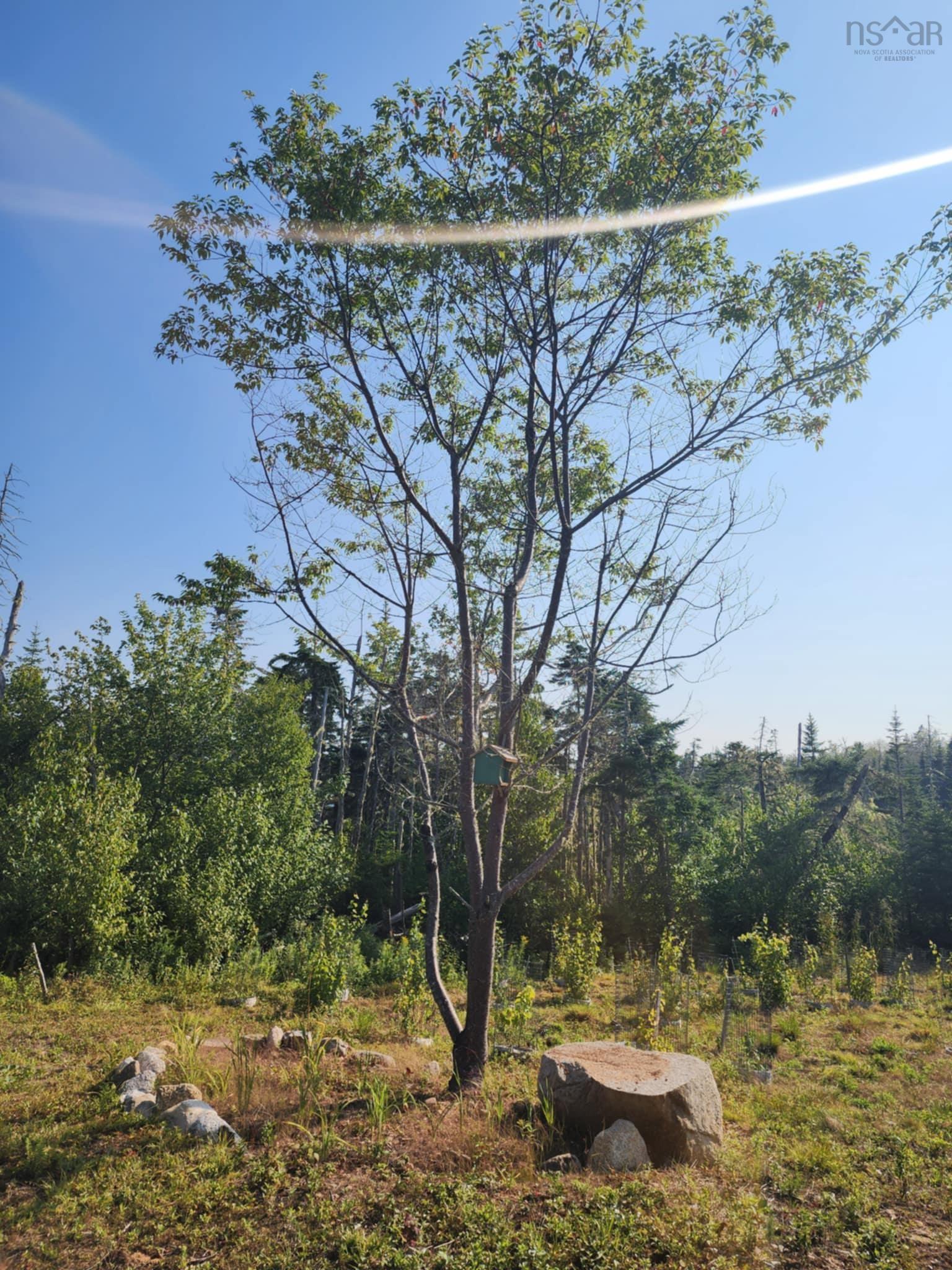 $130,000.00: 1056 Mines Road, West Petpeswick