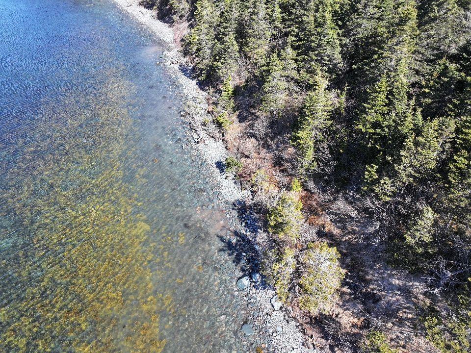 $49,900.00: Lot 1 Hapes Point Road, Ecum Secum