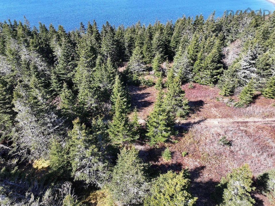 $49,900.00: Lot 1 Hapes Point Road, Ecum Secum