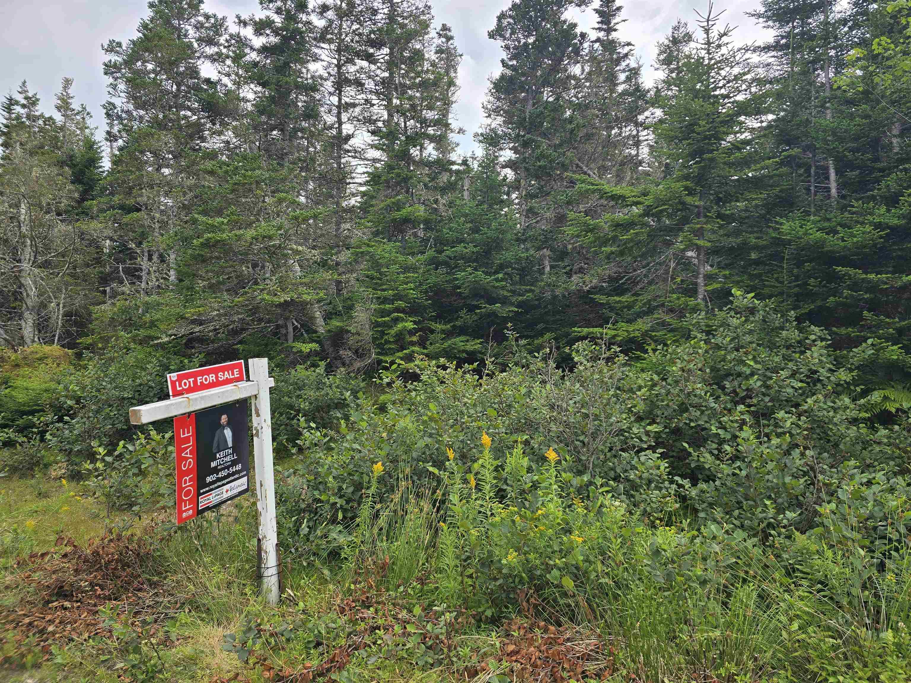 $49,900.00: Lot 1 Hapes Point Road, Ecum Secum