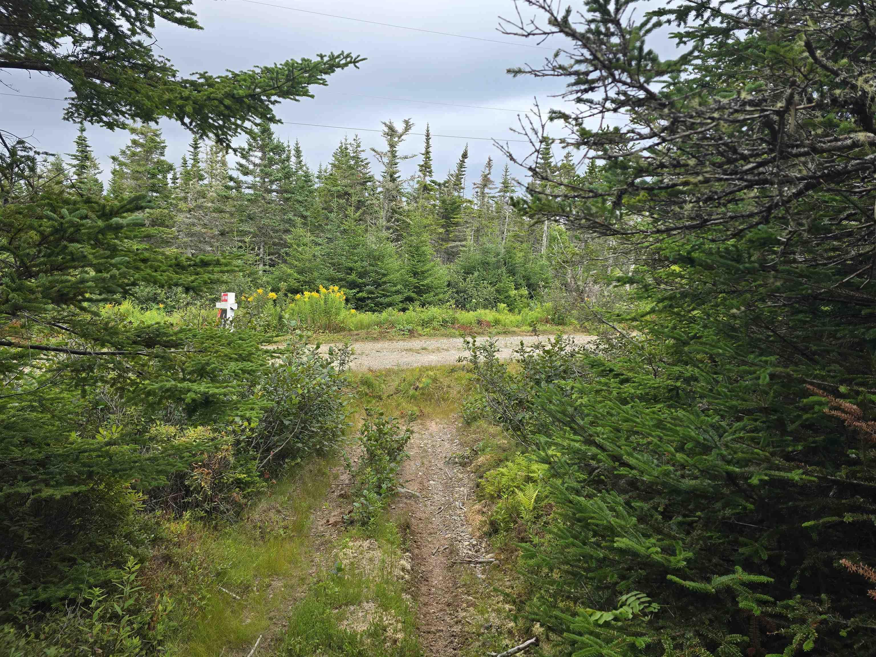 $49,900.00: Lot 1 Hapes Point Road, Ecum Secum