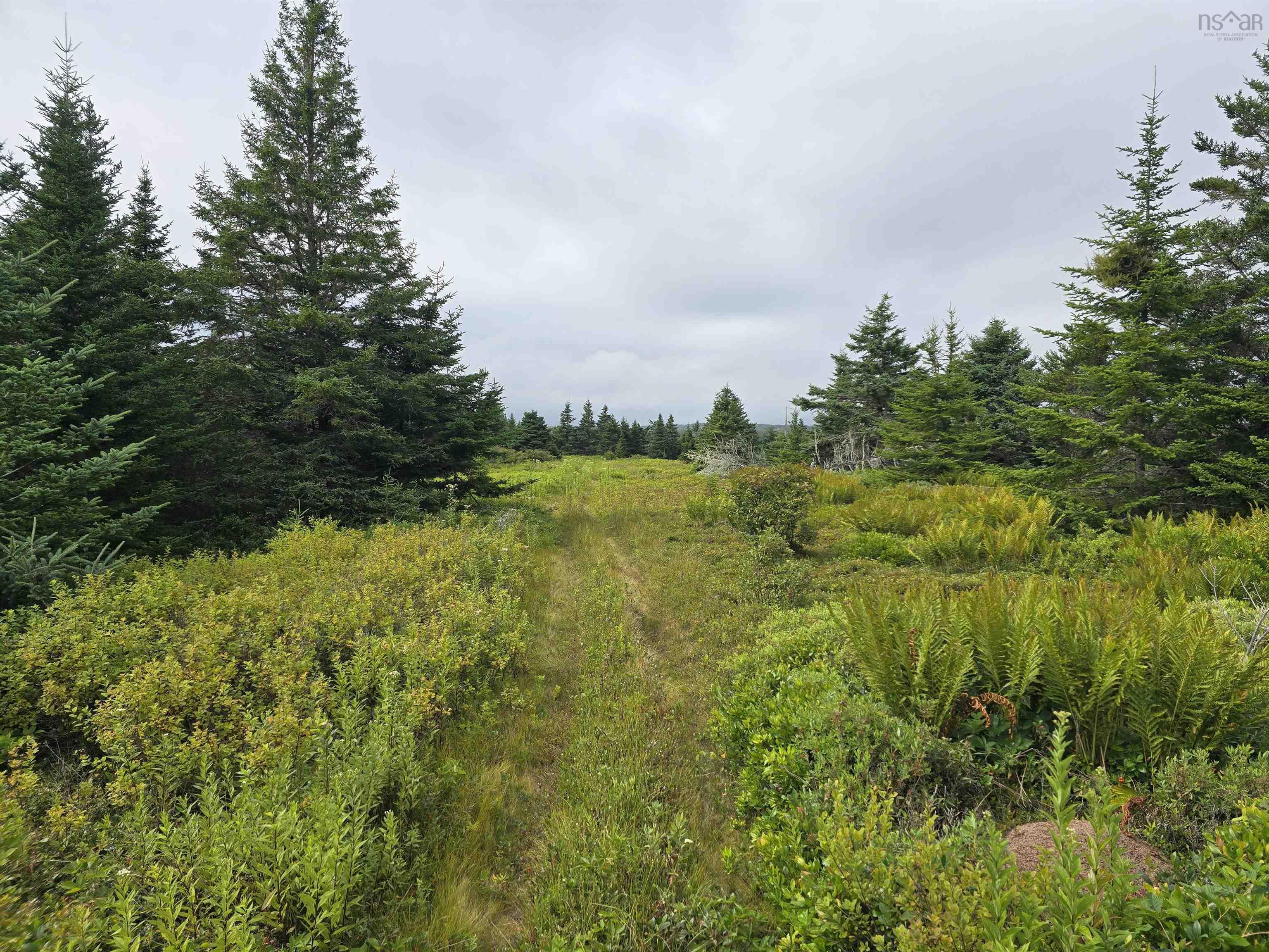 $49,900.00: Lot 1 Hapes Point Road, Ecum Secum