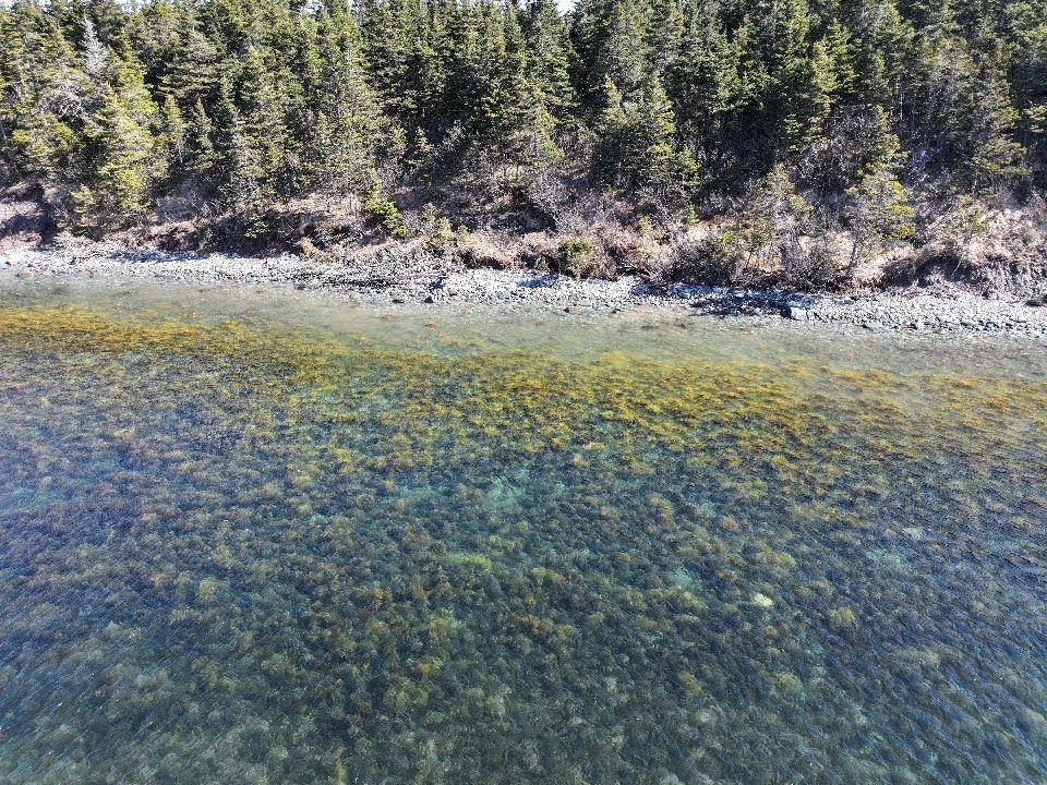 $49,900.00: Lot 1 Hapes Point Road, Ecum Secum