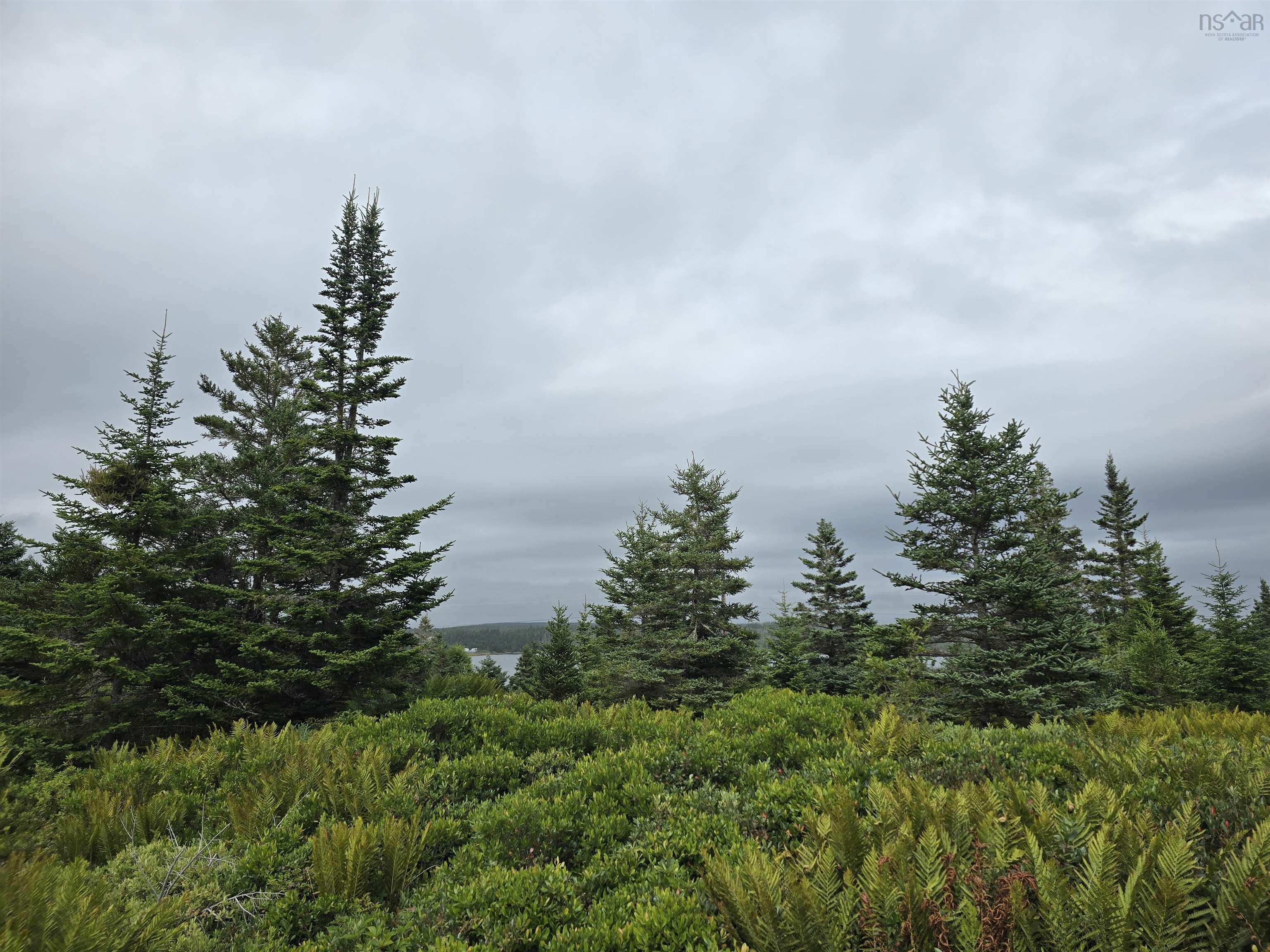 $49,900.00: Lot 1 Hapes Point Road, Ecum Secum