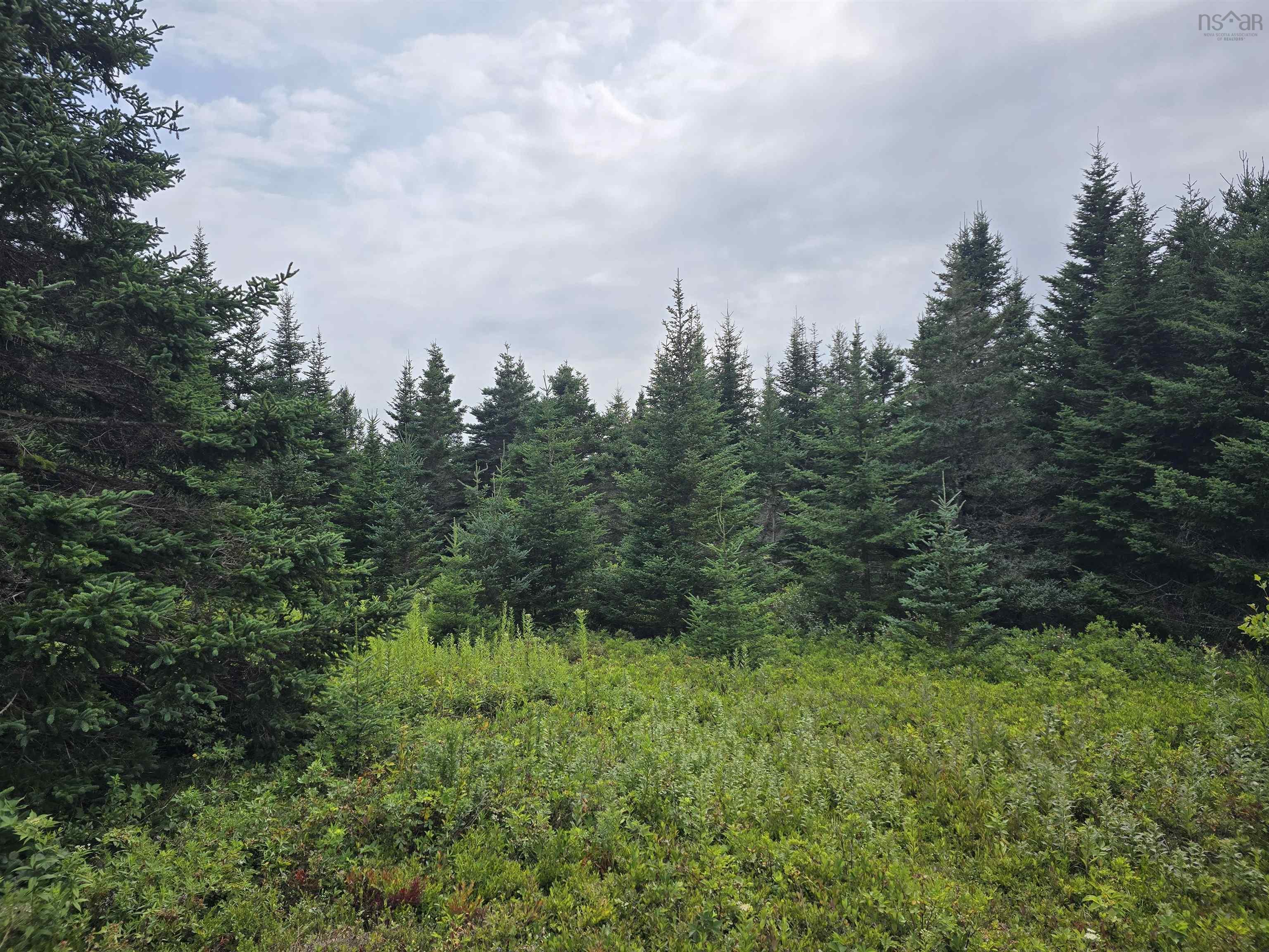 $49,900.00: Lot 1 Hapes Point Road, Ecum Secum