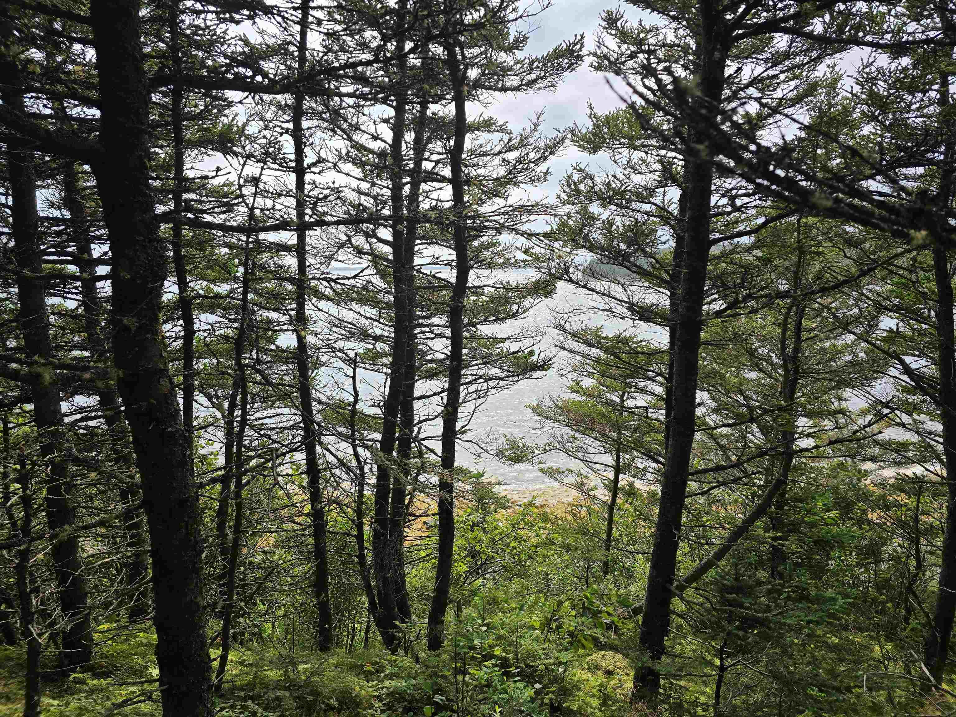 $49,900.00: Lot 1 Hapes Point Road, Ecum Secum