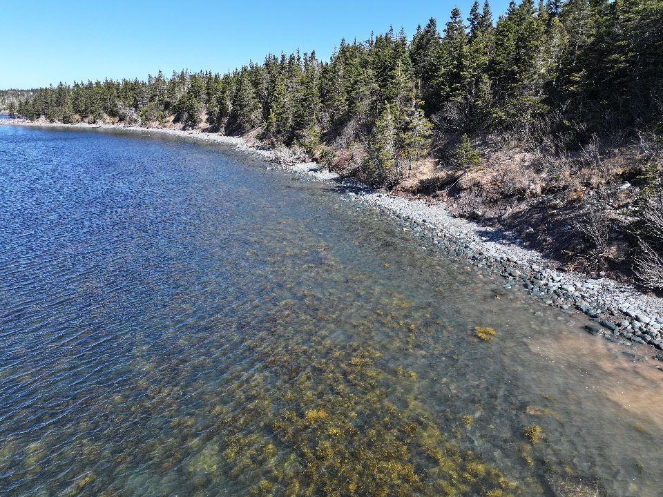 $49,900.00: Lot 1 Hapes Point Road, Ecum Secum