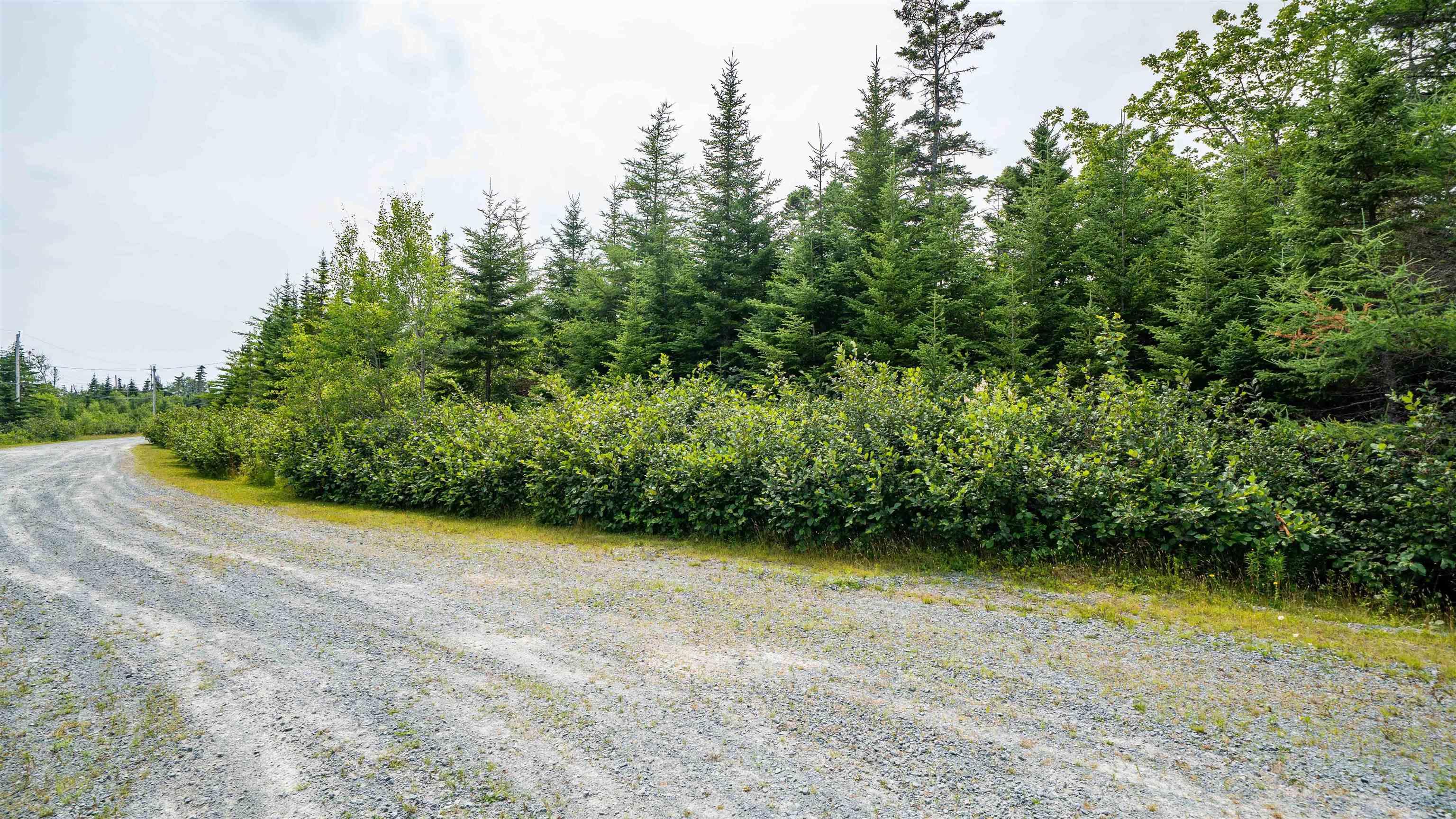 $90,000.00: Drake Crescent, Musquodoboit Harbour