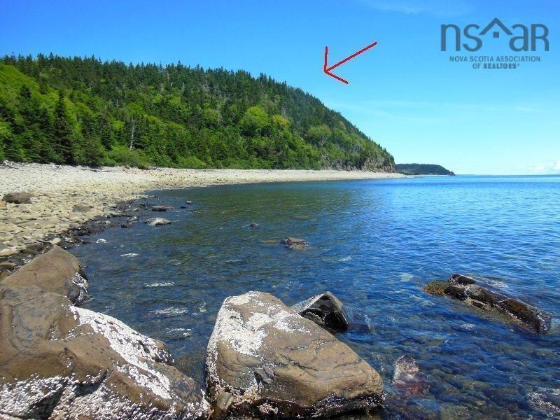 $299,000.00: #217 Highway, Tiddville