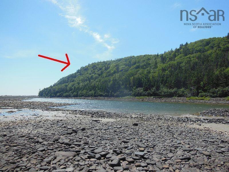 $299,000.00: #217 Highway, Tiddville