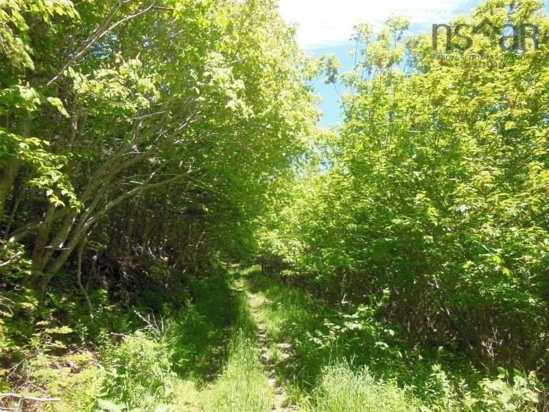 $299,000.00: #217 Highway, Tiddville