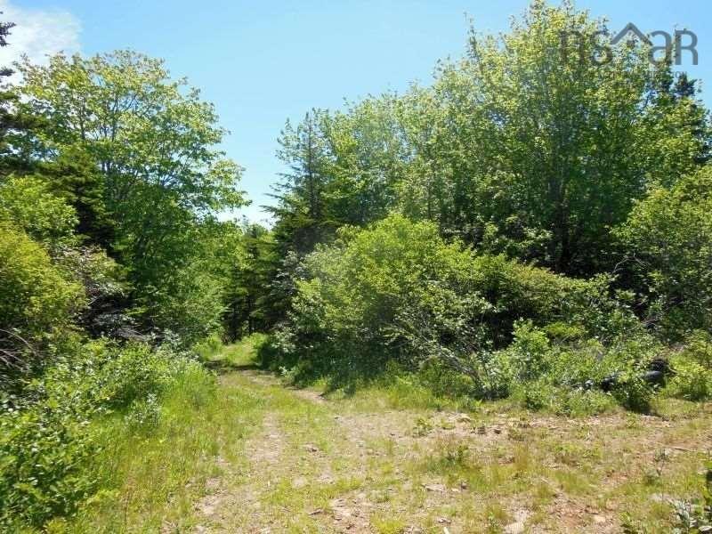 $299,000.00: #217 Highway, Tiddville