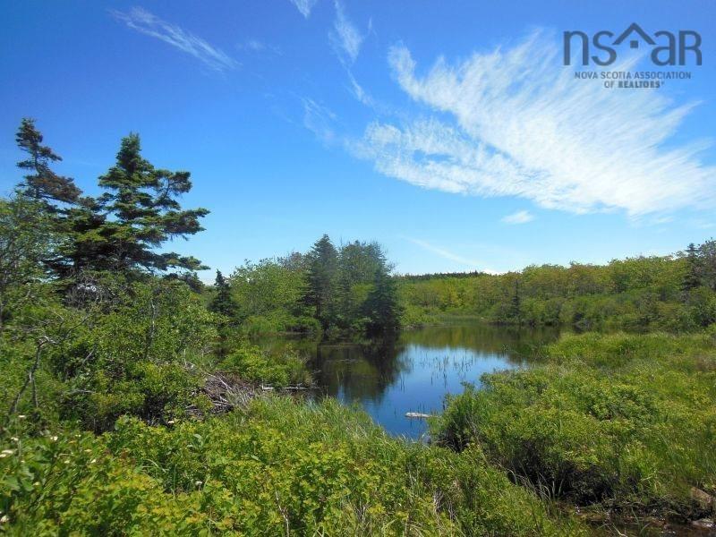 $299,000.00: #217 Highway, Tiddville