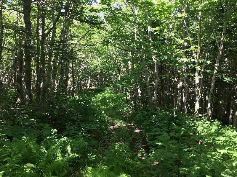 $299,000.00: #217 Highway, Tiddville