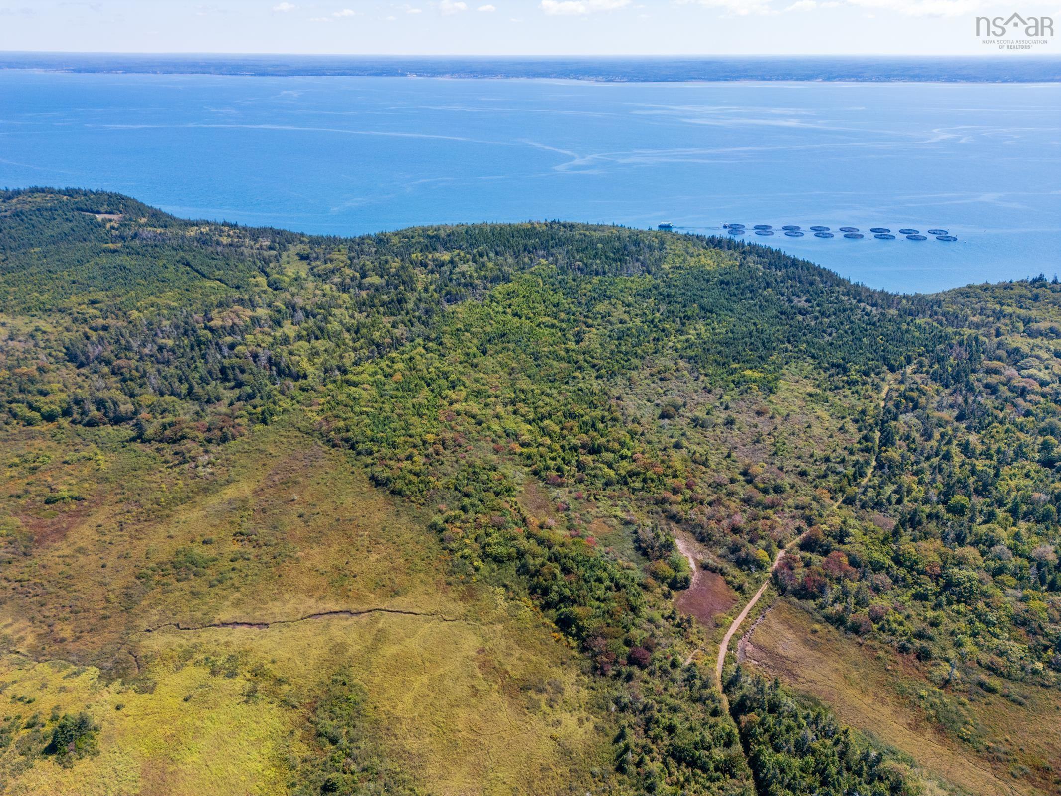 $299,000.00: #217 Highway, Tiddville