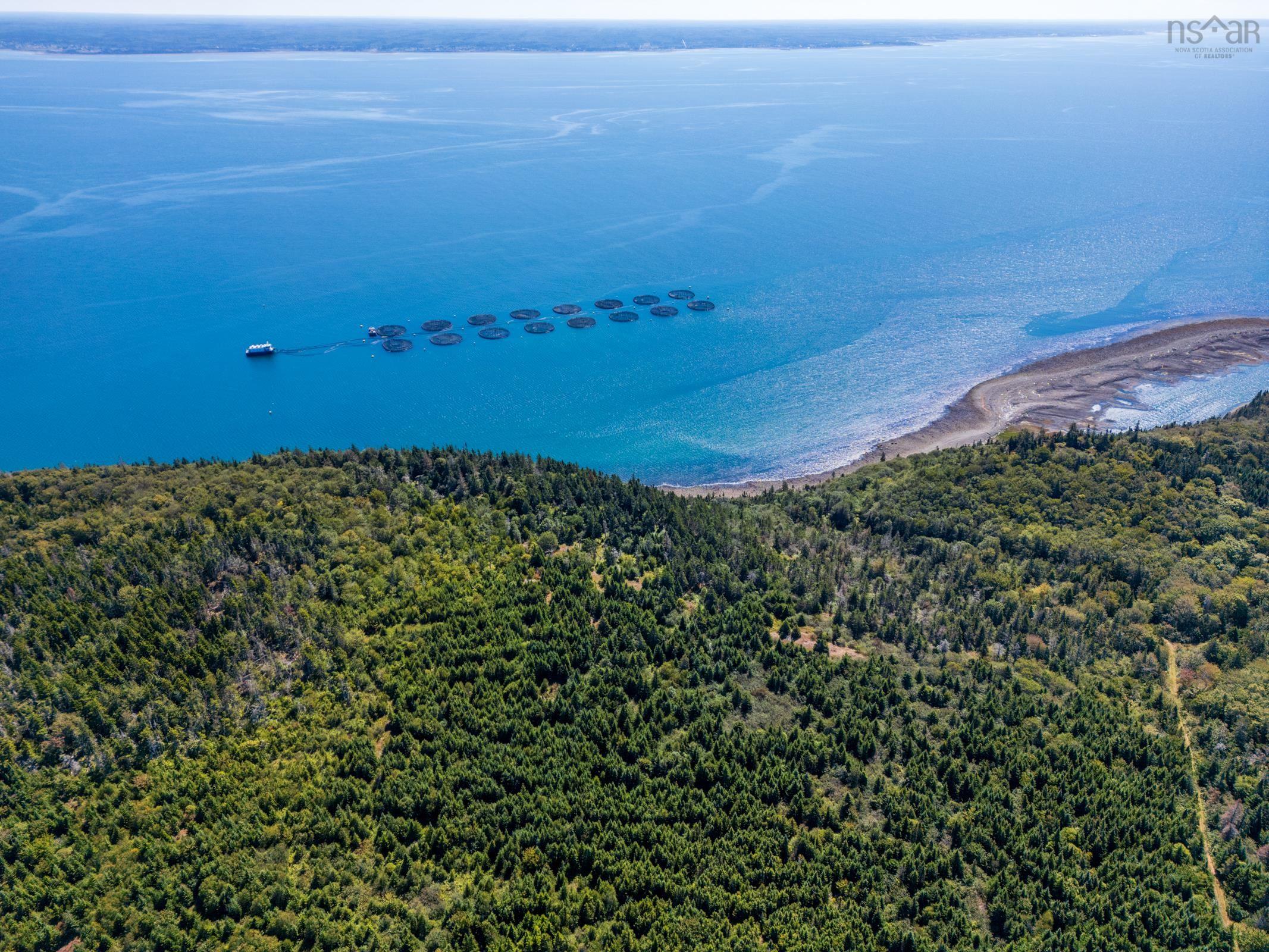 $299,000.00: #217 Highway, Tiddville