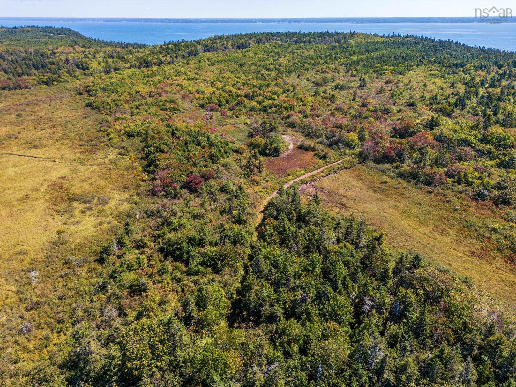 $299,000.00: #217 Highway, Tiddville