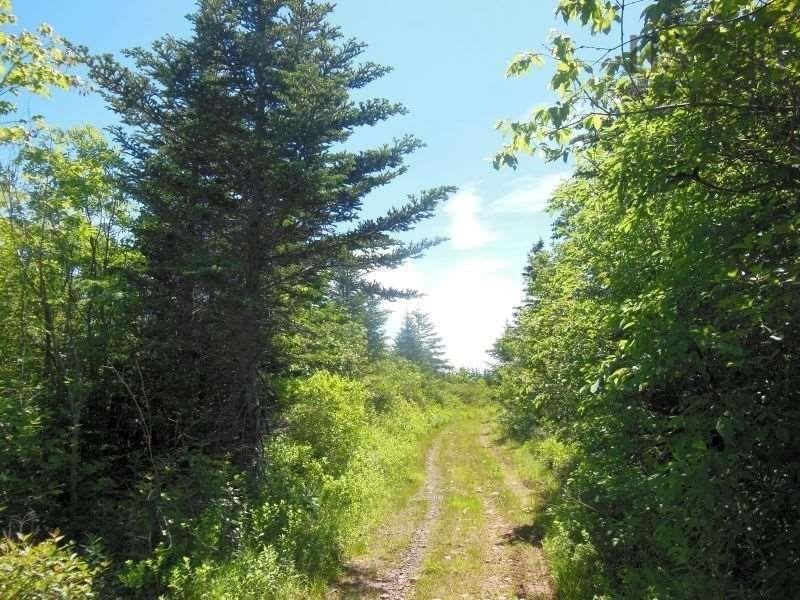 $299,000.00: #217 Highway, Tiddville